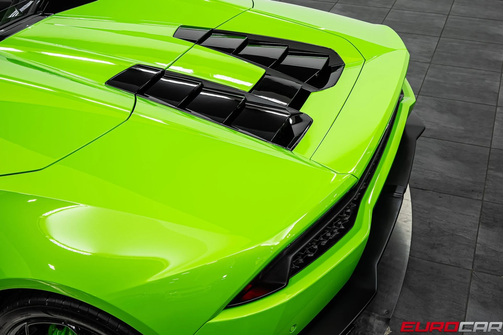 mph019_2896265707_789d21e8_6207_4527_b8c2_7ce7425f321b_5d315749d1