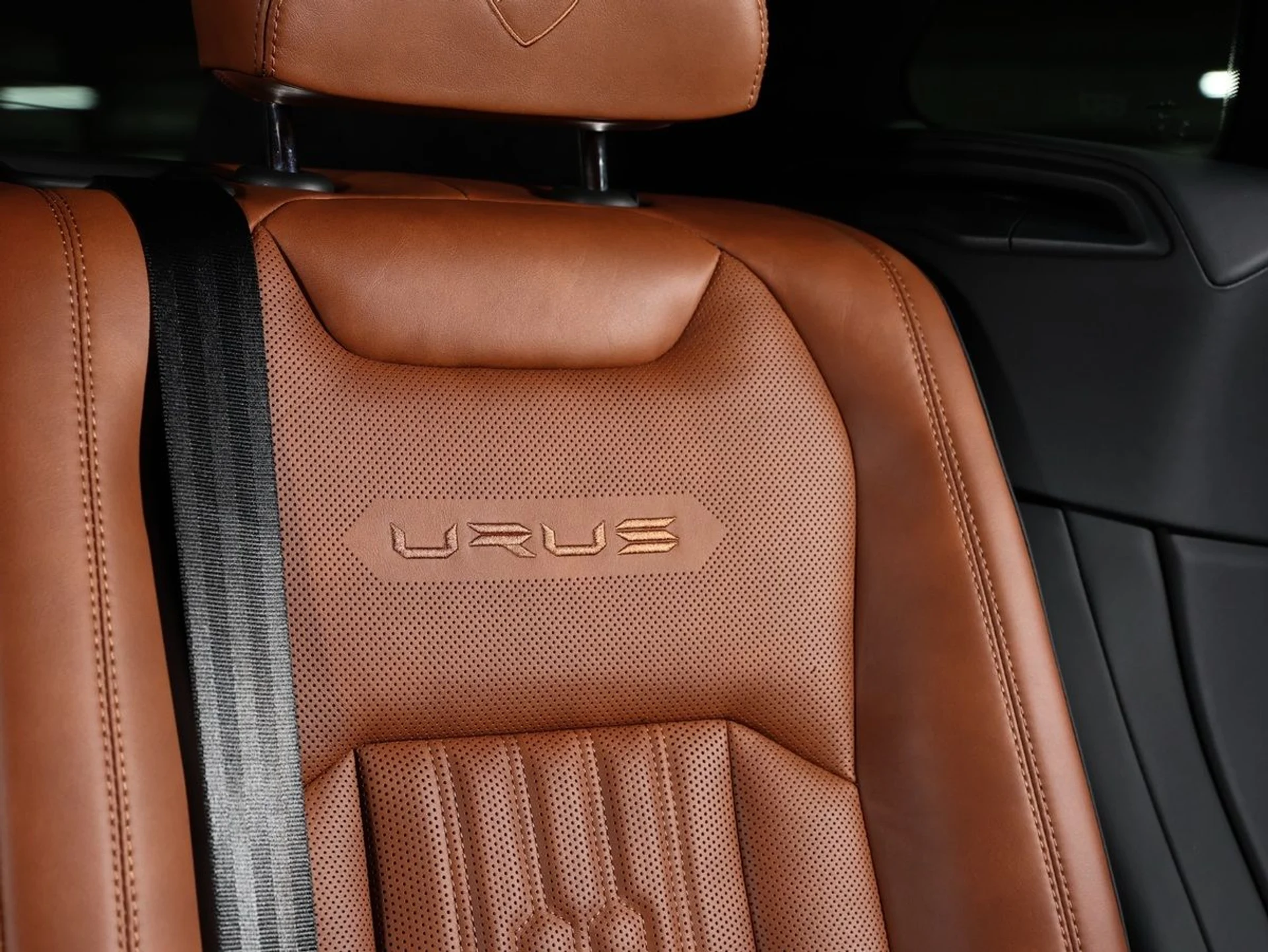 mph019_3002091063_wv4n7msi38bc1tf6hl4hms5ay2w8_57bb99e06d