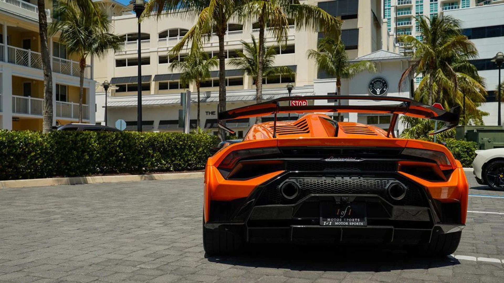 mph019_3005028620_22835943_20_1024_75295692f4