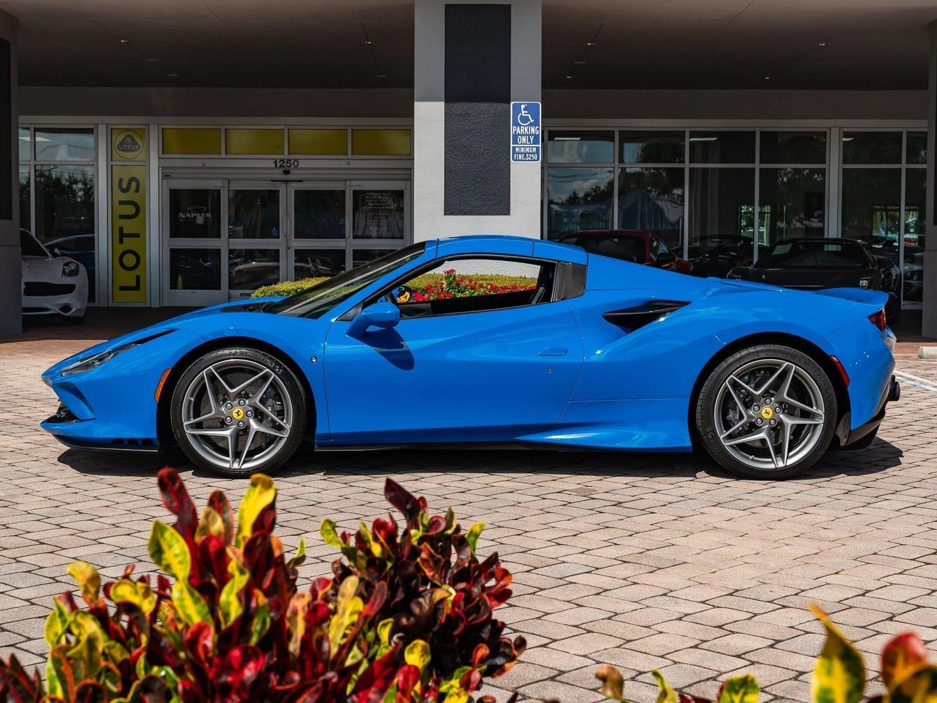 mph019_3018419674_Used_2021_Ferrari_F8_Spider_1773864562_3b409b0dc5