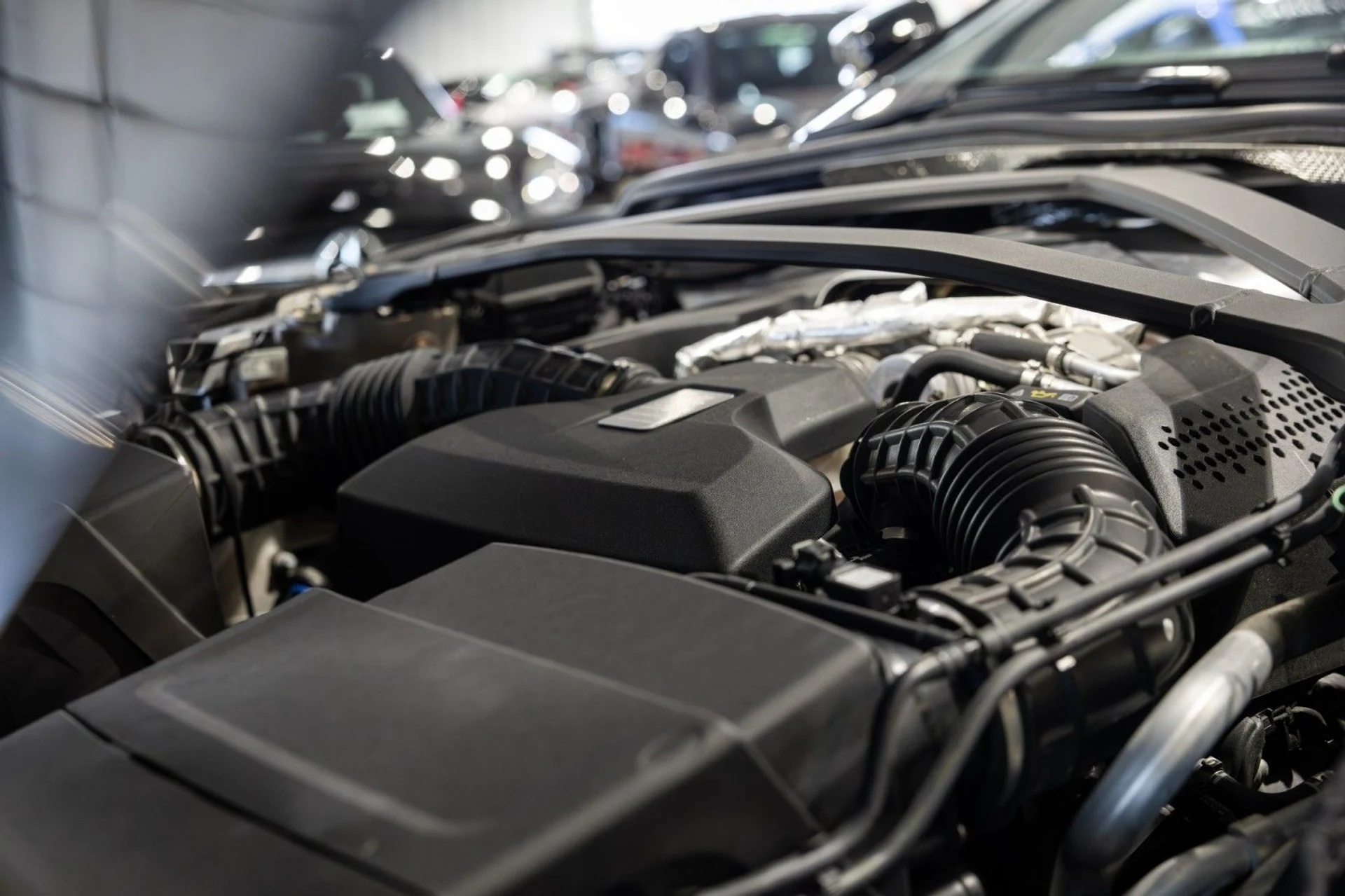 mph019_3040483079_Eg_5166163c7b