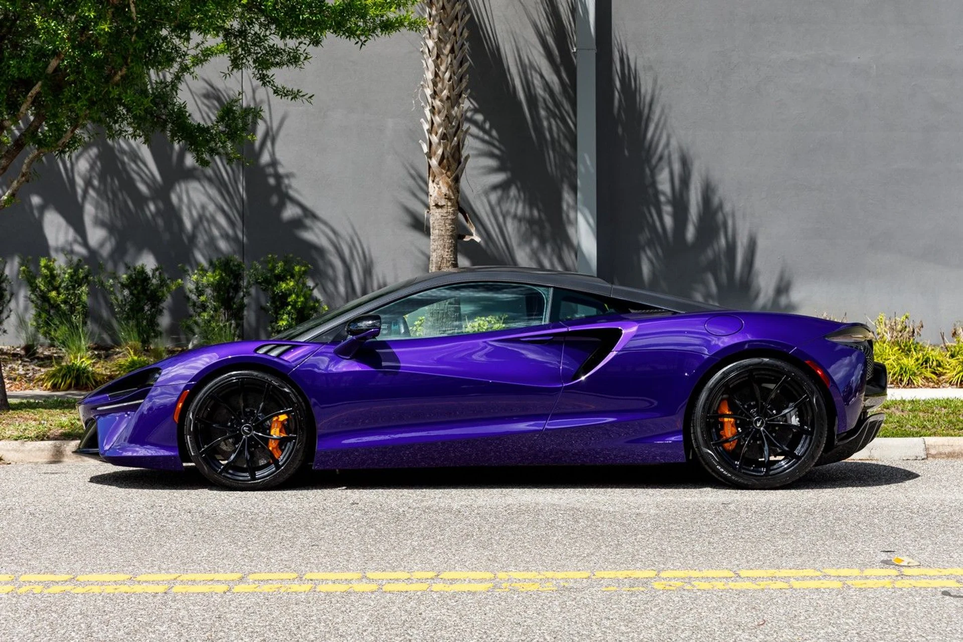 mph019_3124047522_362_p20_l_7851e8fc6d