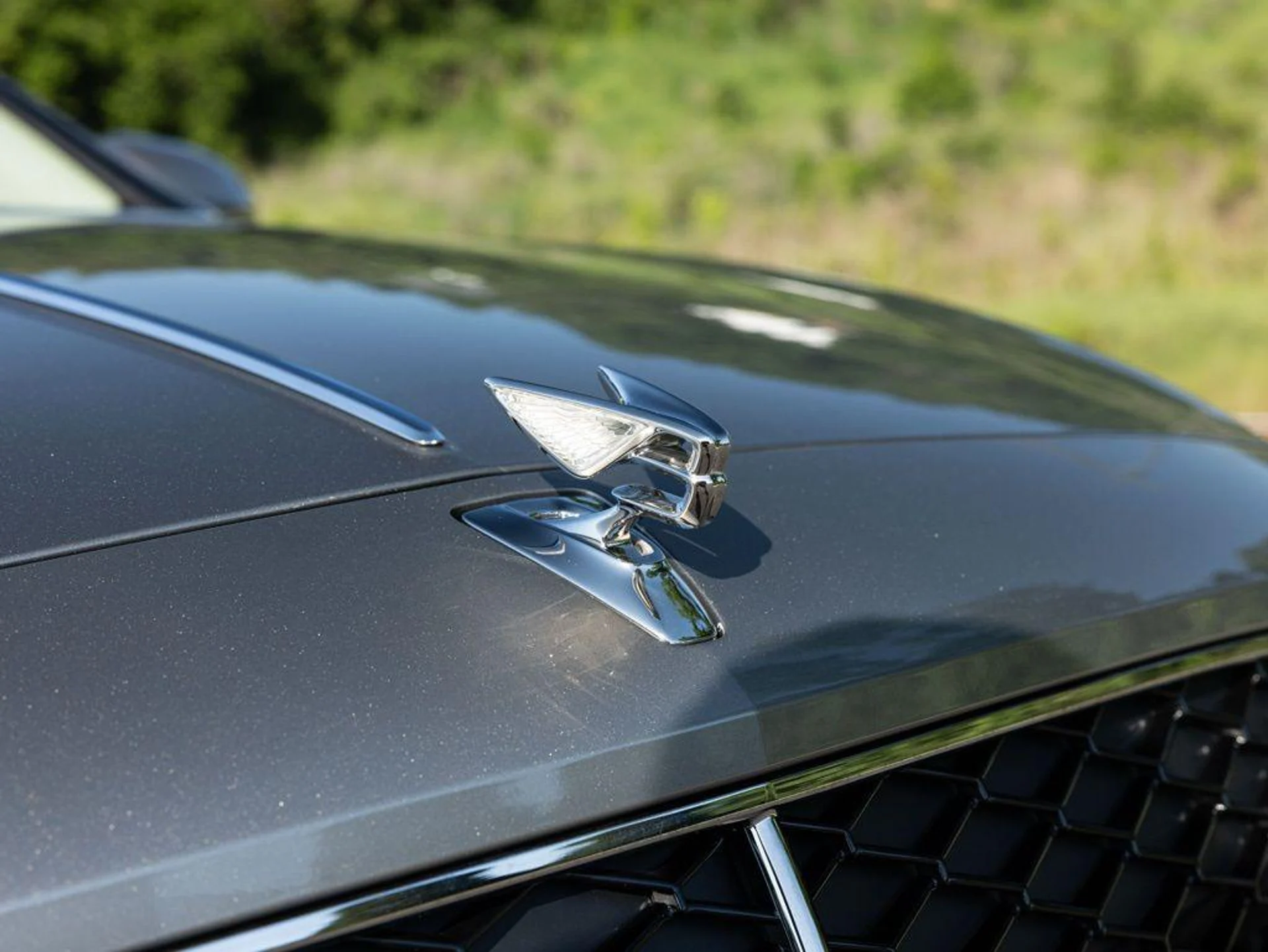 mph019_325197812_514426019_69ea40e5a250cd82d00a2433_121d519acf