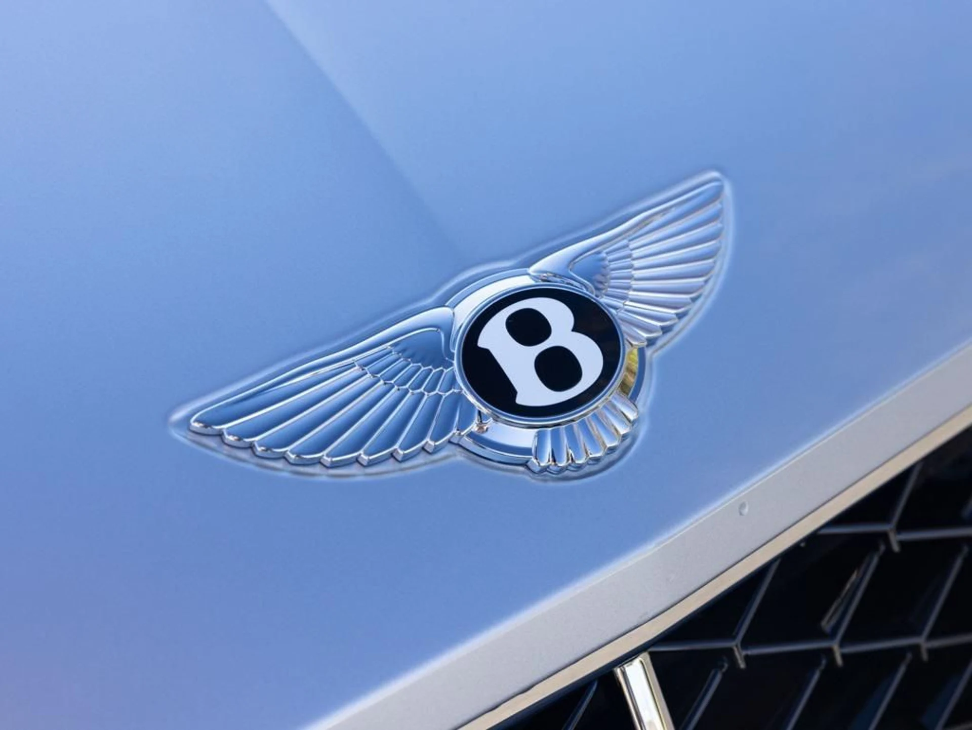 mph019_3289385578_477125129_6929ce1c744751d8ce2a161b_94ba1b99b6