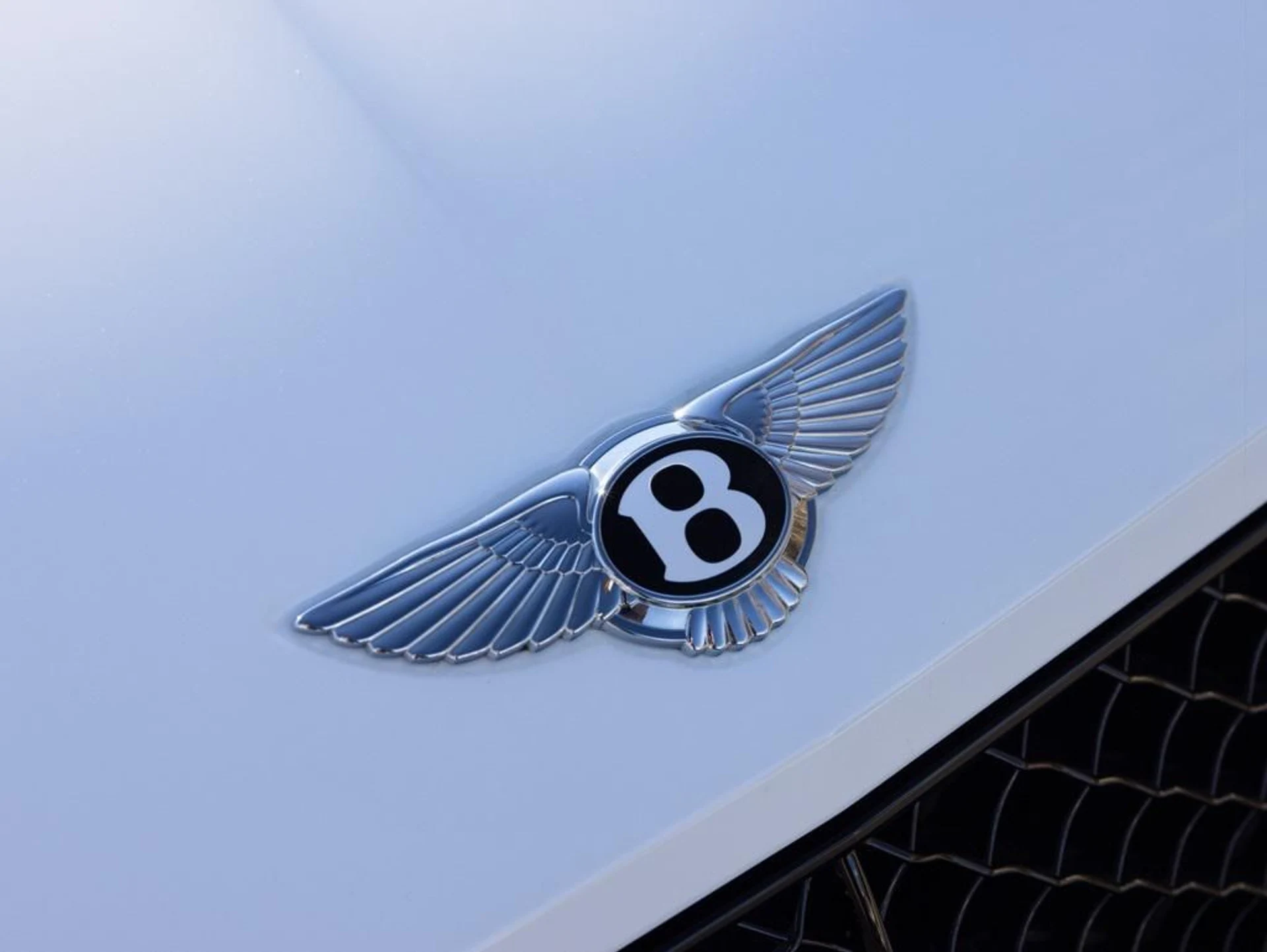 mph019_3293144076_488810293_6969d3404e0e5eb81a315c96_e03bcd3b2c