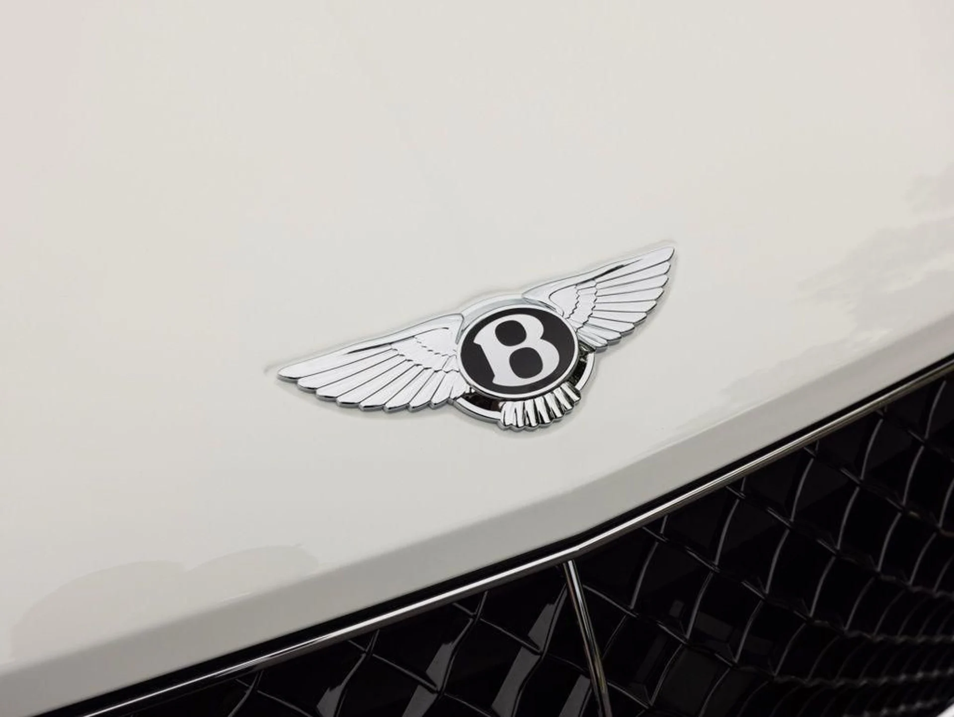 mph019_3312295696_514426018_69ef6f3ab42b849f5deca1f8_409b662e0c