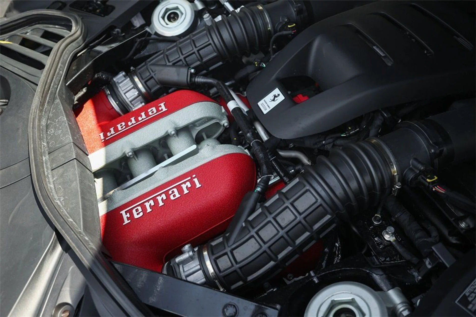 mph019_3391461755_e4d00108960de646030f7a12b3924b5f_51f2134d19