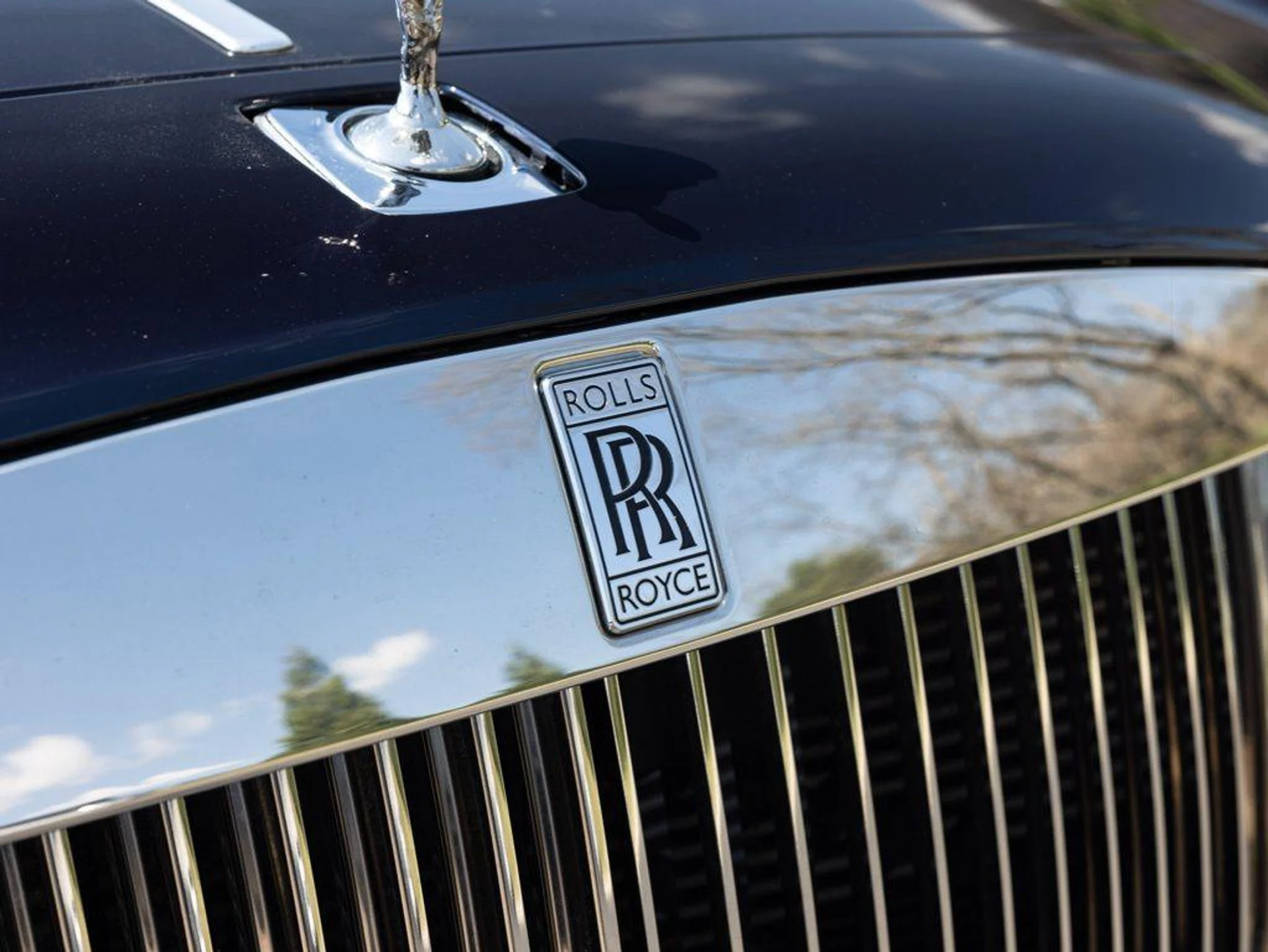 mph019_3397514981_504934488_69c6ebaf5561dbbd2d618be5_f9b66752a8