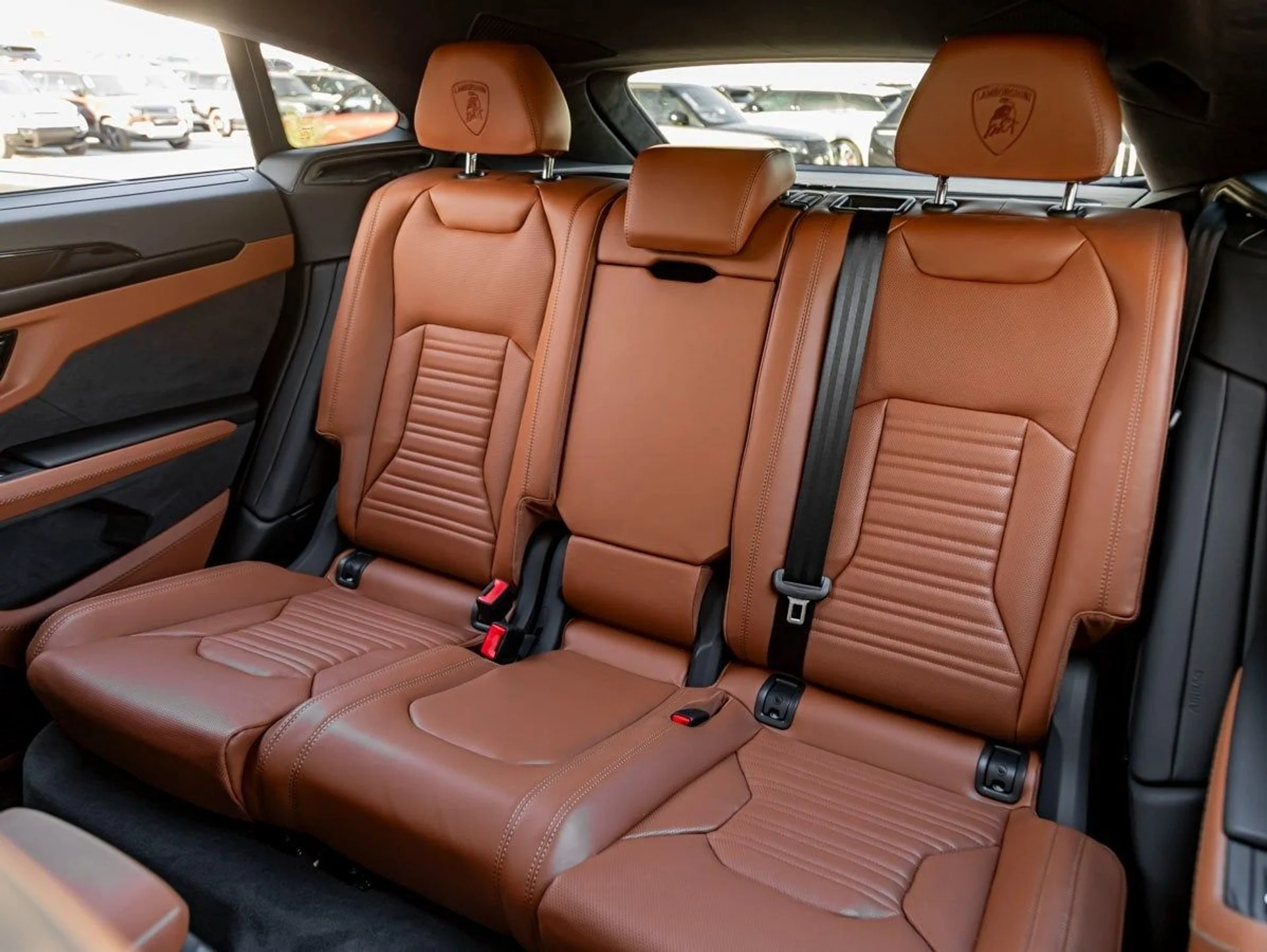 mph019_3513229593_20_97566cf07c