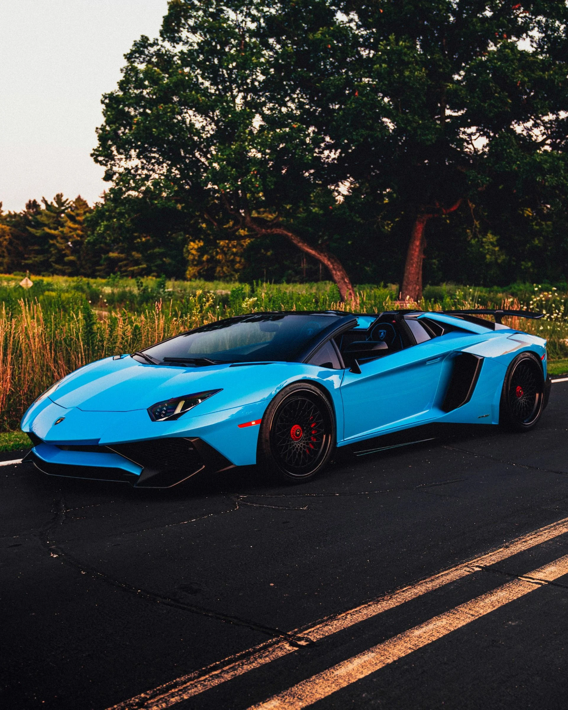 mph019_3568608422_9696_p20_l_9dbde63a1e