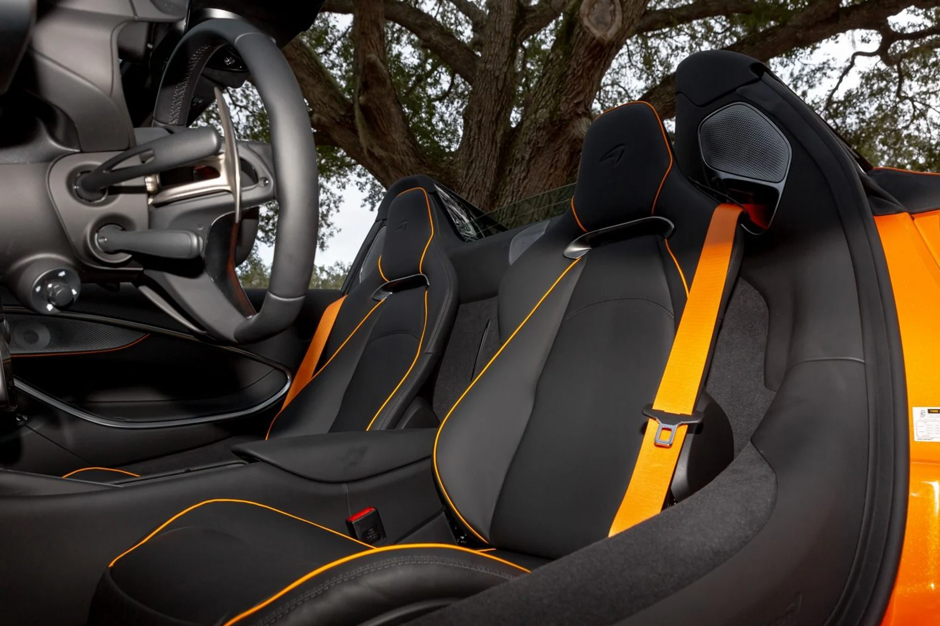 mph019_3594199737_457_p20_l_4bb932d1d2