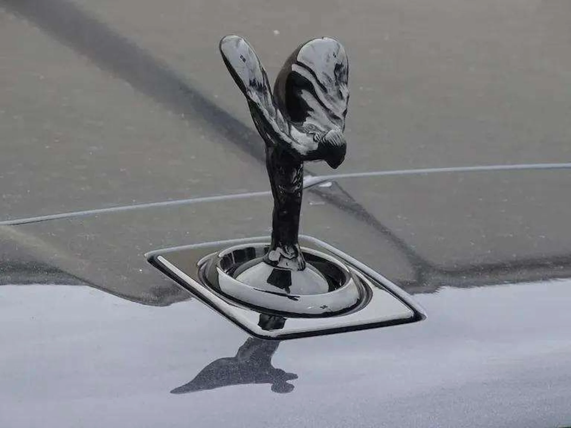 mph019_3623133055_0cto6dvd3qap08mslc4or46pgqj6_6dd1d8ab32