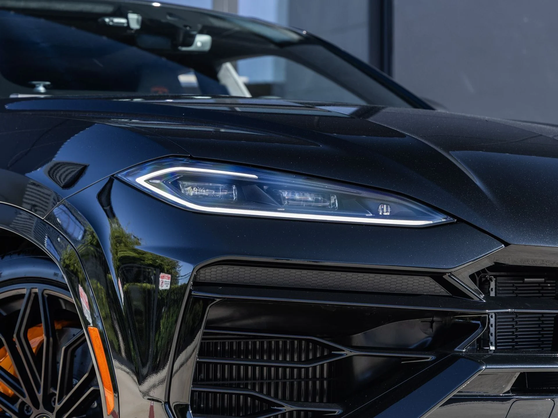 mph019_3642541343_20_d71b839154