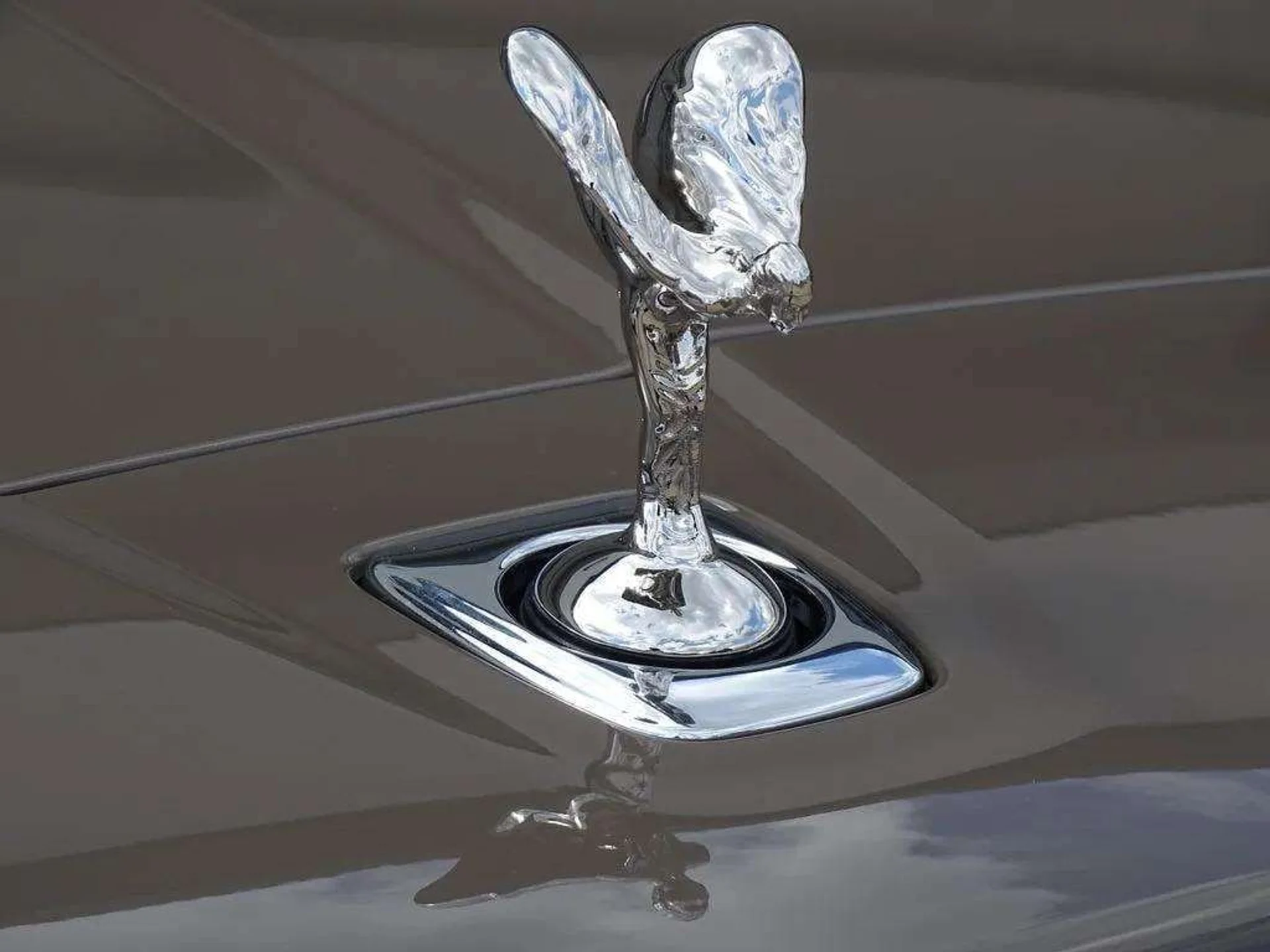 mph019_3701217863_d74be9c0acad84af438ad3a3eff0d005x_6d2a122730