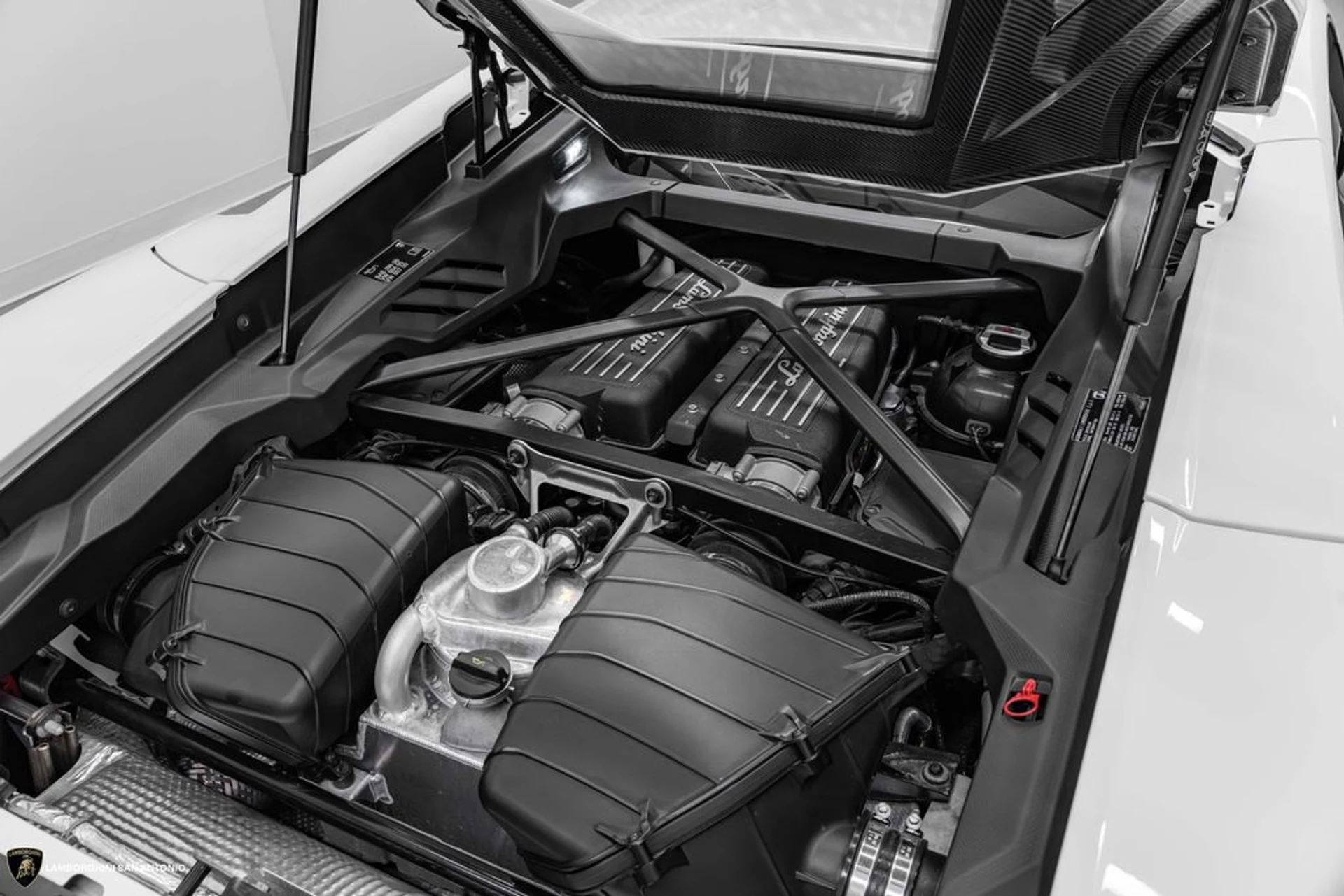 mph019_3703360314_cb686ca9ff165c2543859e737f229af1x_2490e3b457