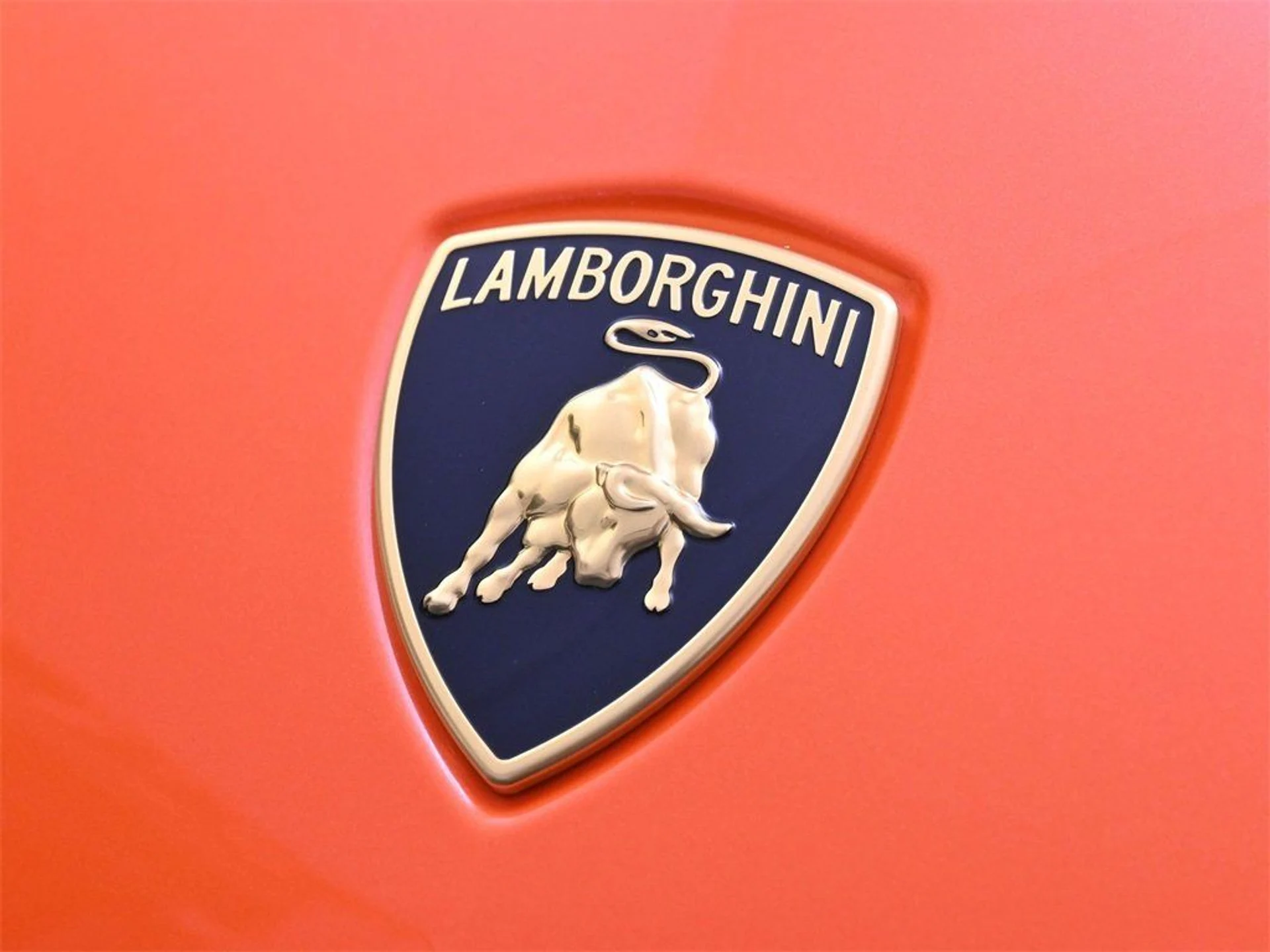 mph019_3748961557_73bd8f21a4128edb9fe0595203d7a358_1430d739fb