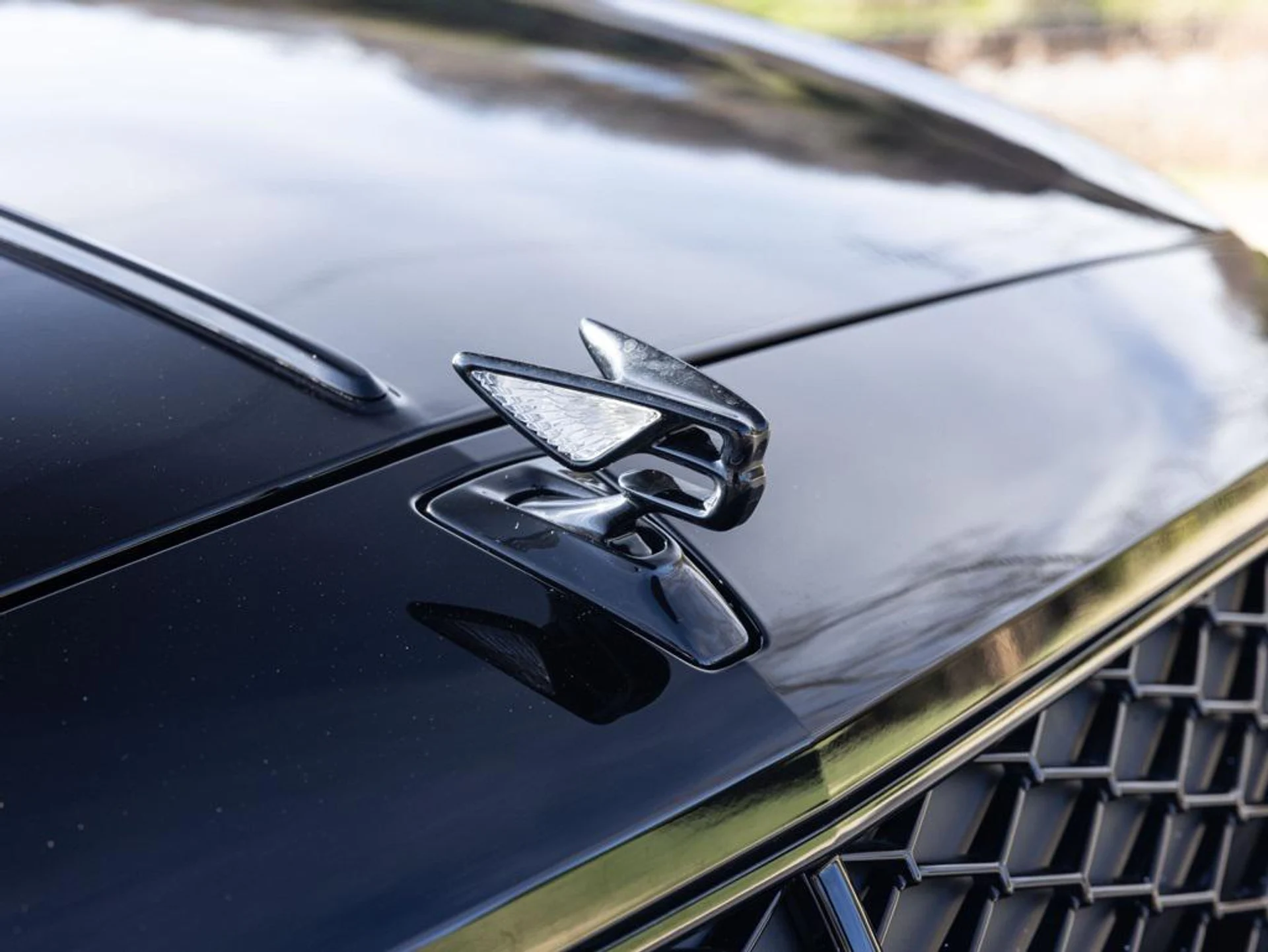 mph019_3750563785_476605579_692b3270d4777c6cf2abe871_1e2a8714e7