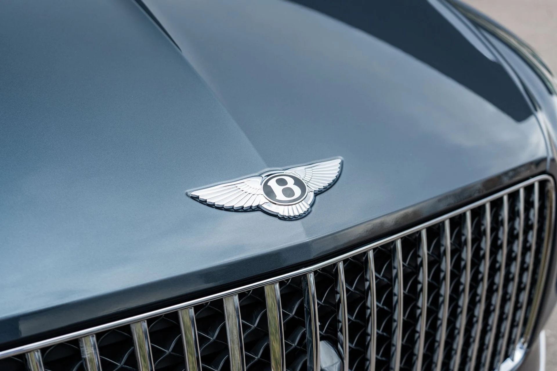 mph019_3778712964_70e3579e_91dc_45c0_9024_837049d0a294_bf5d8e30cc