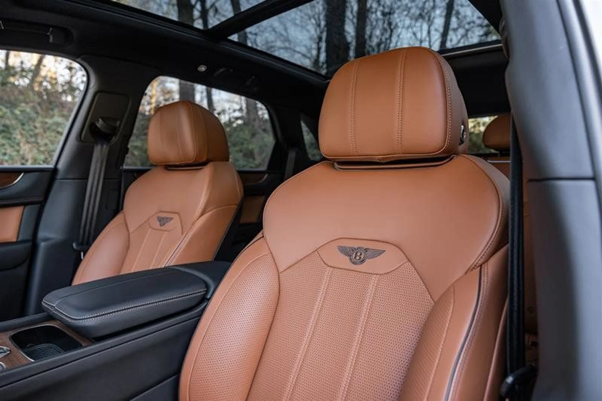 mph019_3883003034_37850546_00982_11783903_1611765107_7e6bd867fa