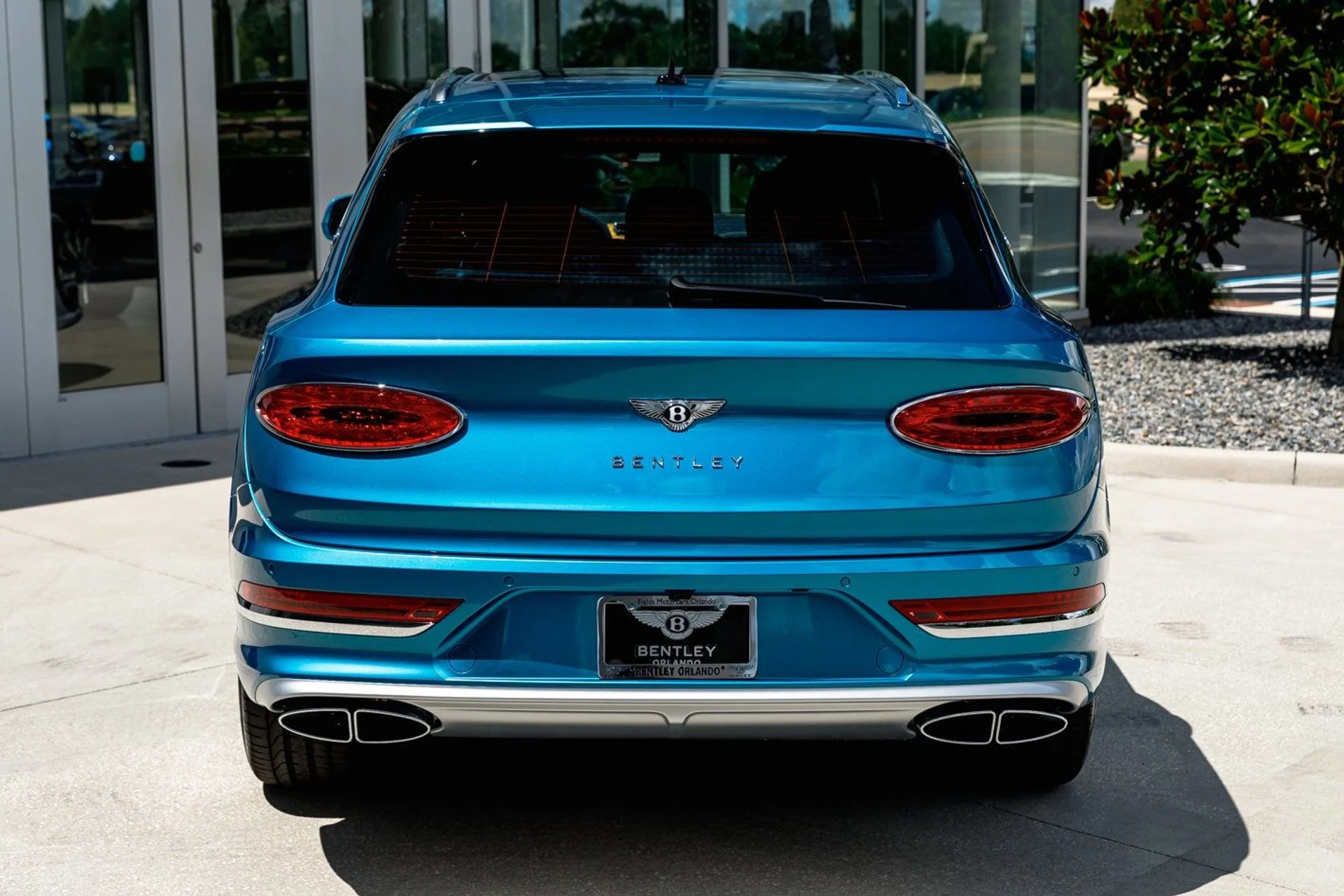 mph019_388359053_1196f514d773e2c85bd38555ae4c0d70x_cd57e15745