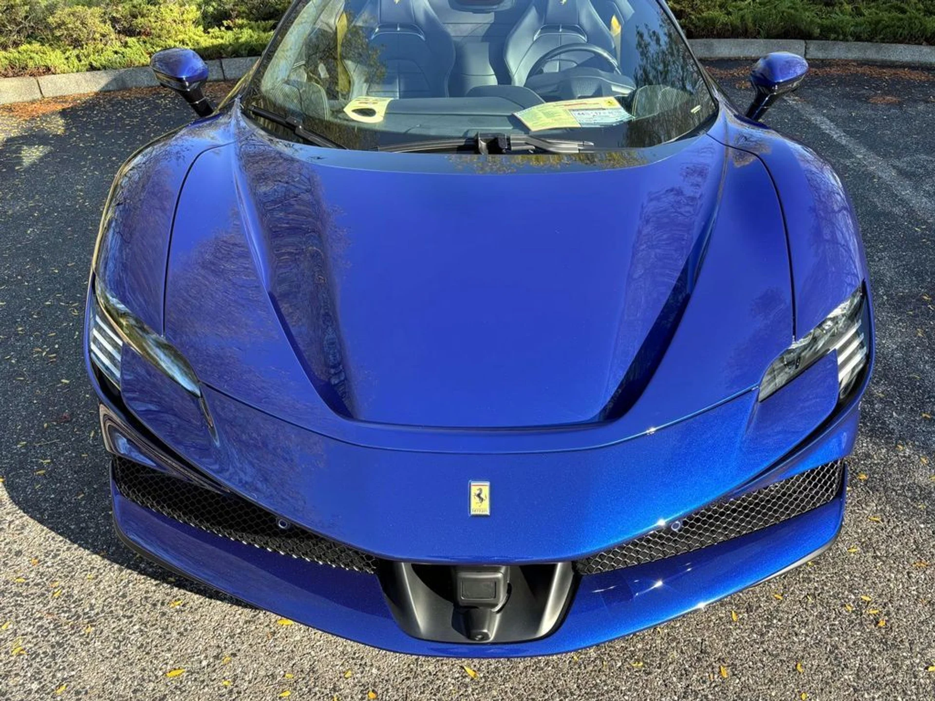 mph019_3925264557_f4bf015edd6af7dbd74ca8eab6d1c3edx_1ff7972d9f