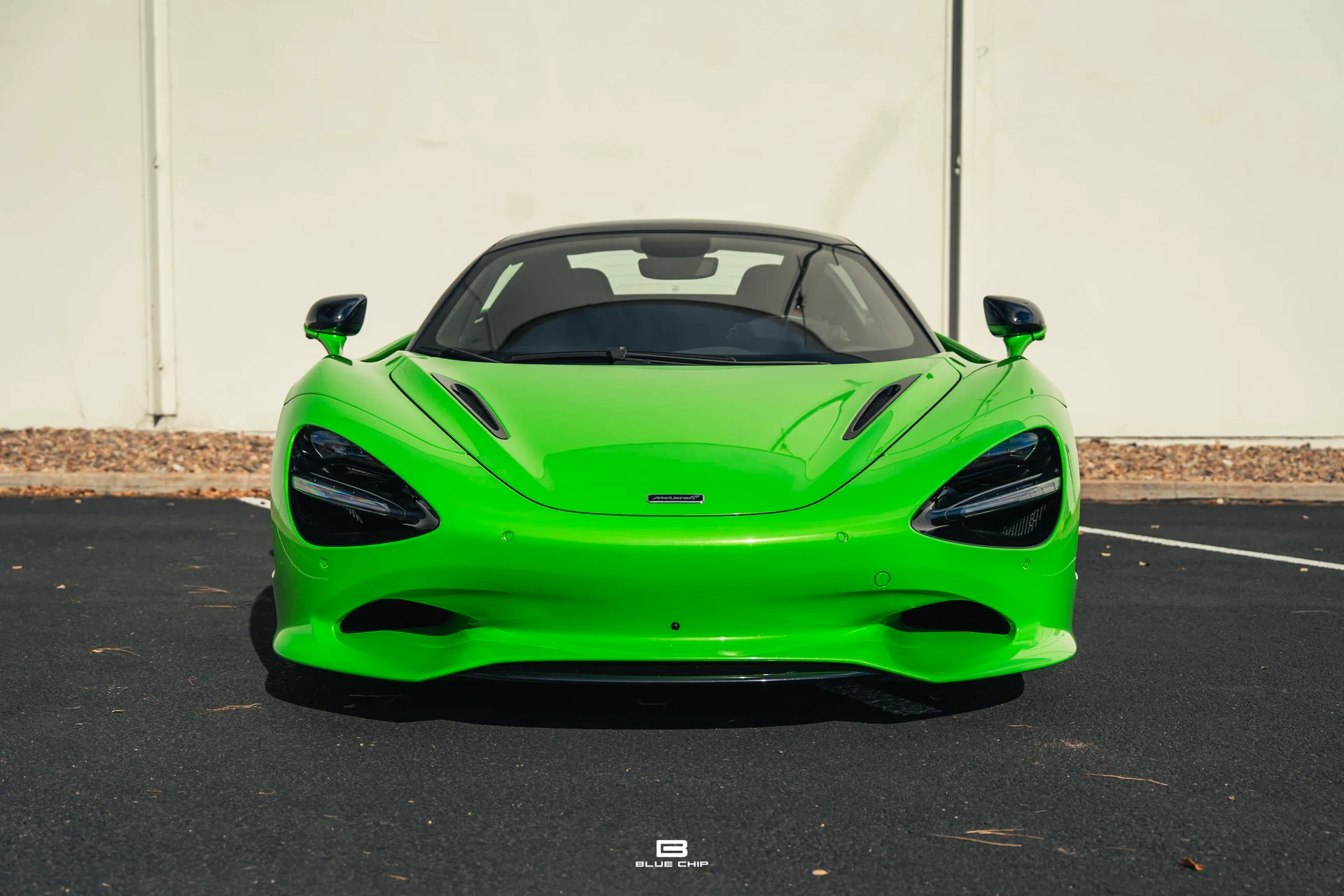 mph019_393850703_691cb569d2d88458aa93f4ec_DSC_01250_b85dc2399e