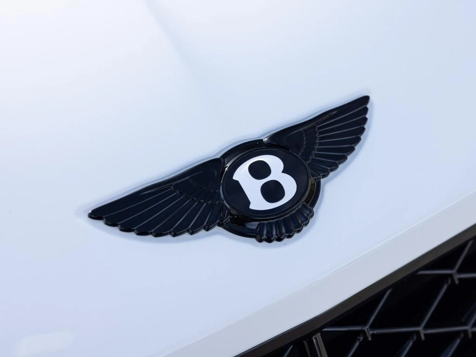 mph019_397147234_477125128_692b326fb578948aa2d4127b_f4aef1bb6a