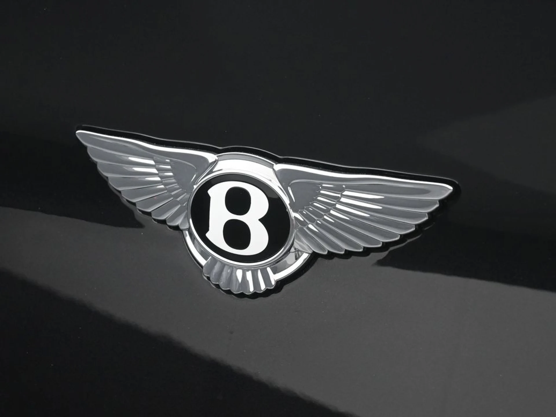 mph019_4027247803_8833946668427573a9260f11e308fc74x_4512ac2379