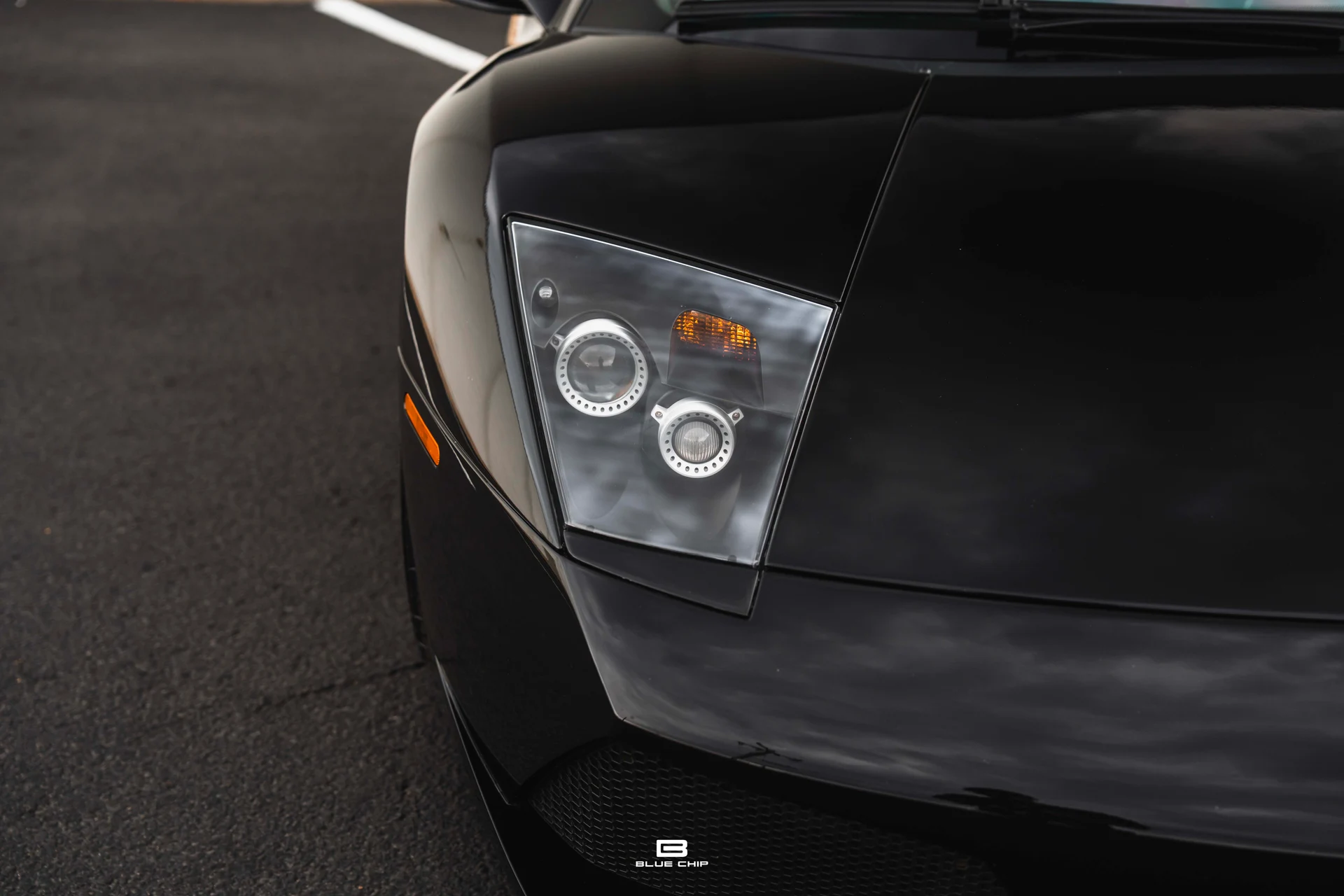 mph019_470358164_689384032cb4cabe07a3083c_DSC_00679_7cc077e8dd