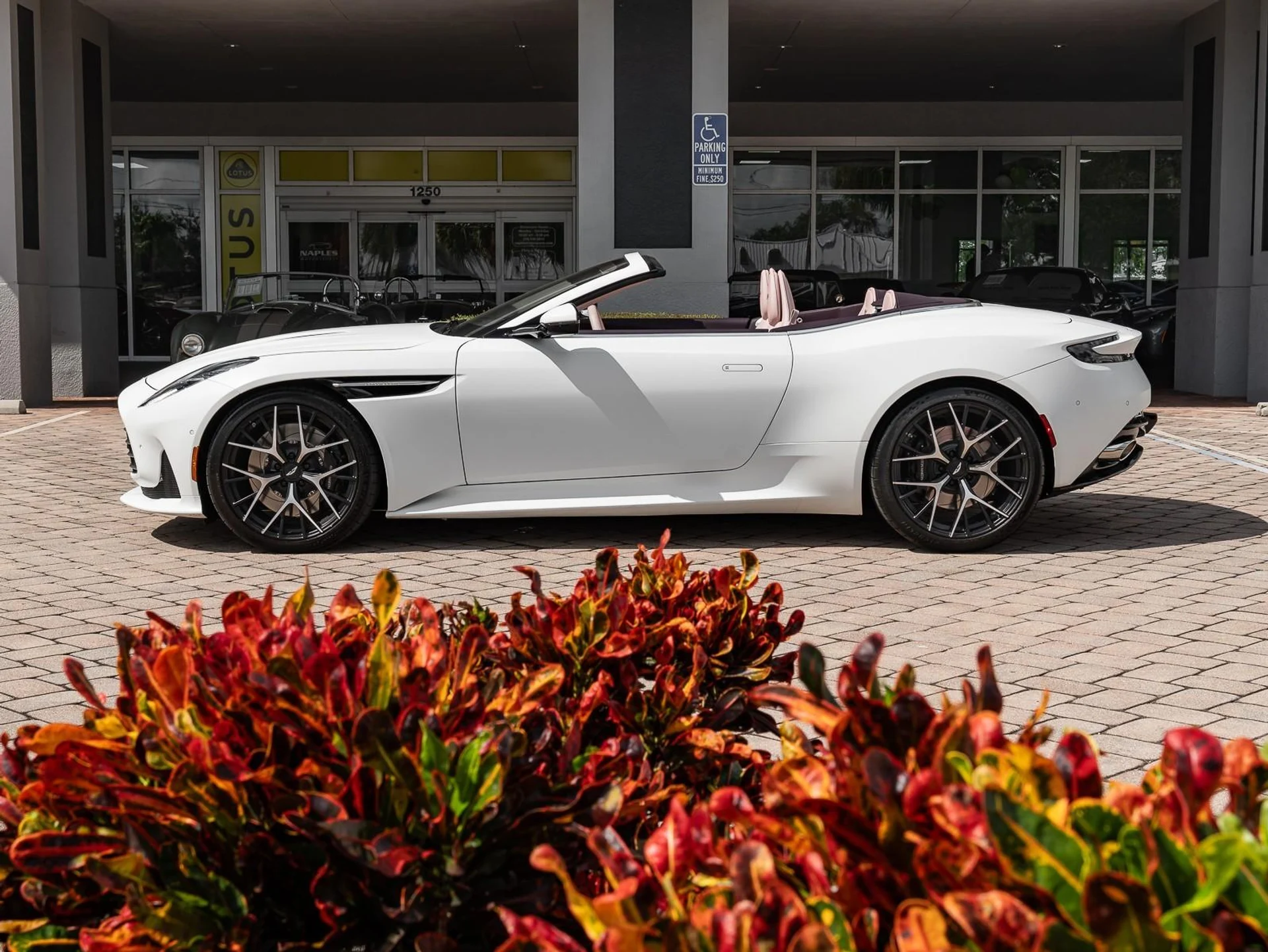 mph019_481246911_Used_2025_Aston_Martin_DB_12_1761167143_8f922e80aa