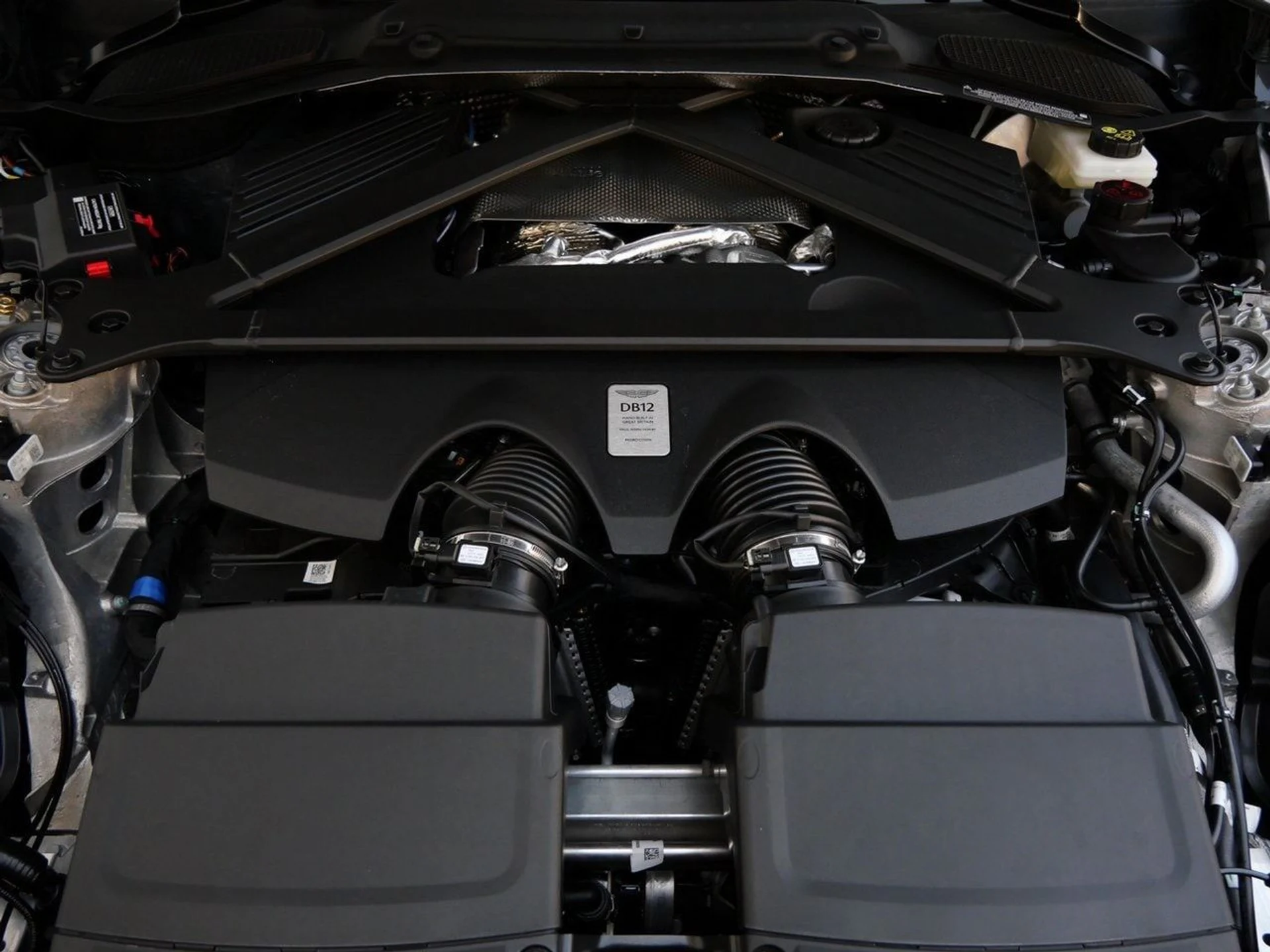 mph019_487379536_cd5d77c6cc94711ec765d9cc431db2bex_48d008a859