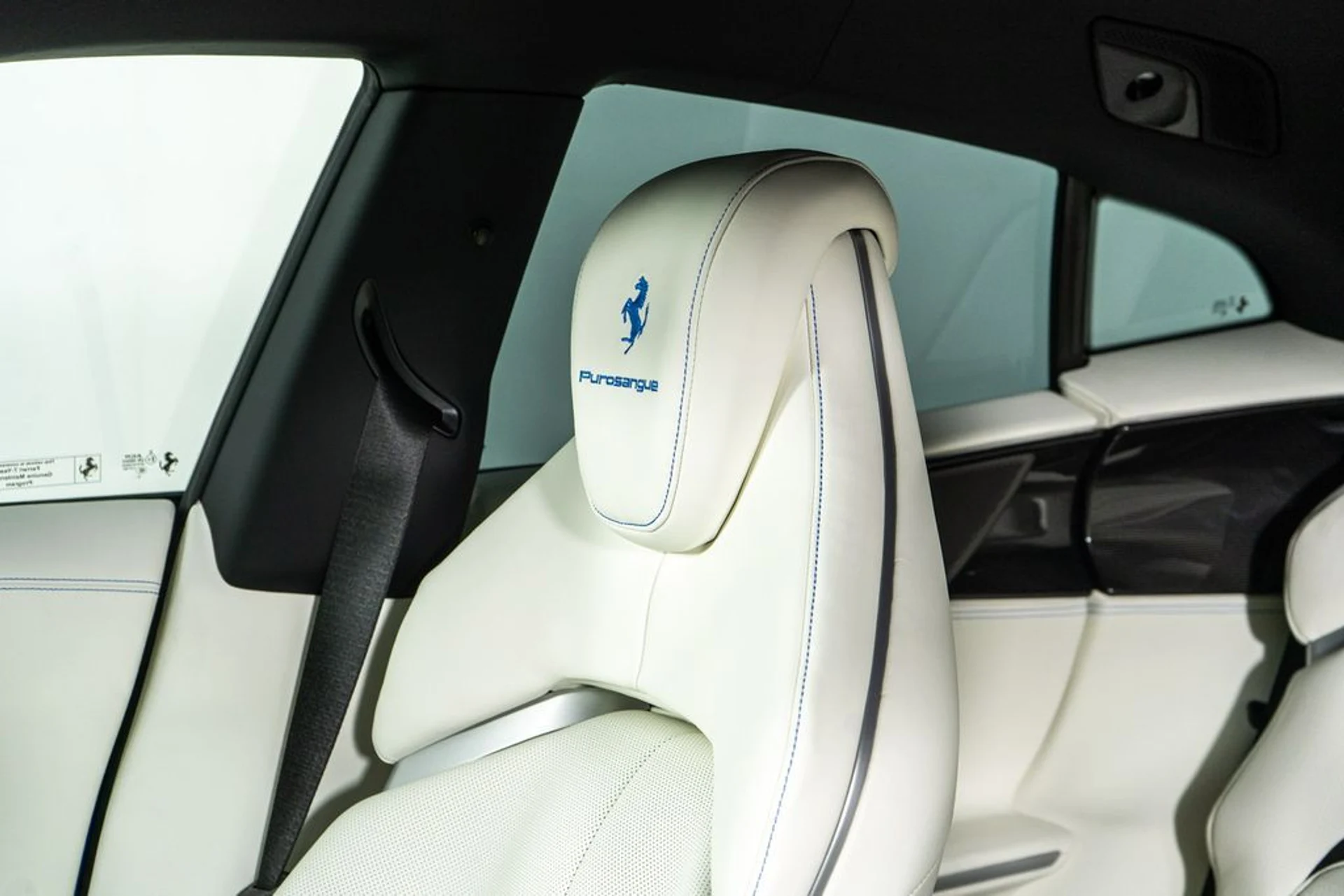 mph019_507570431_70d1764d_5646_44c3_98ba_f815032a7949_17a8560838