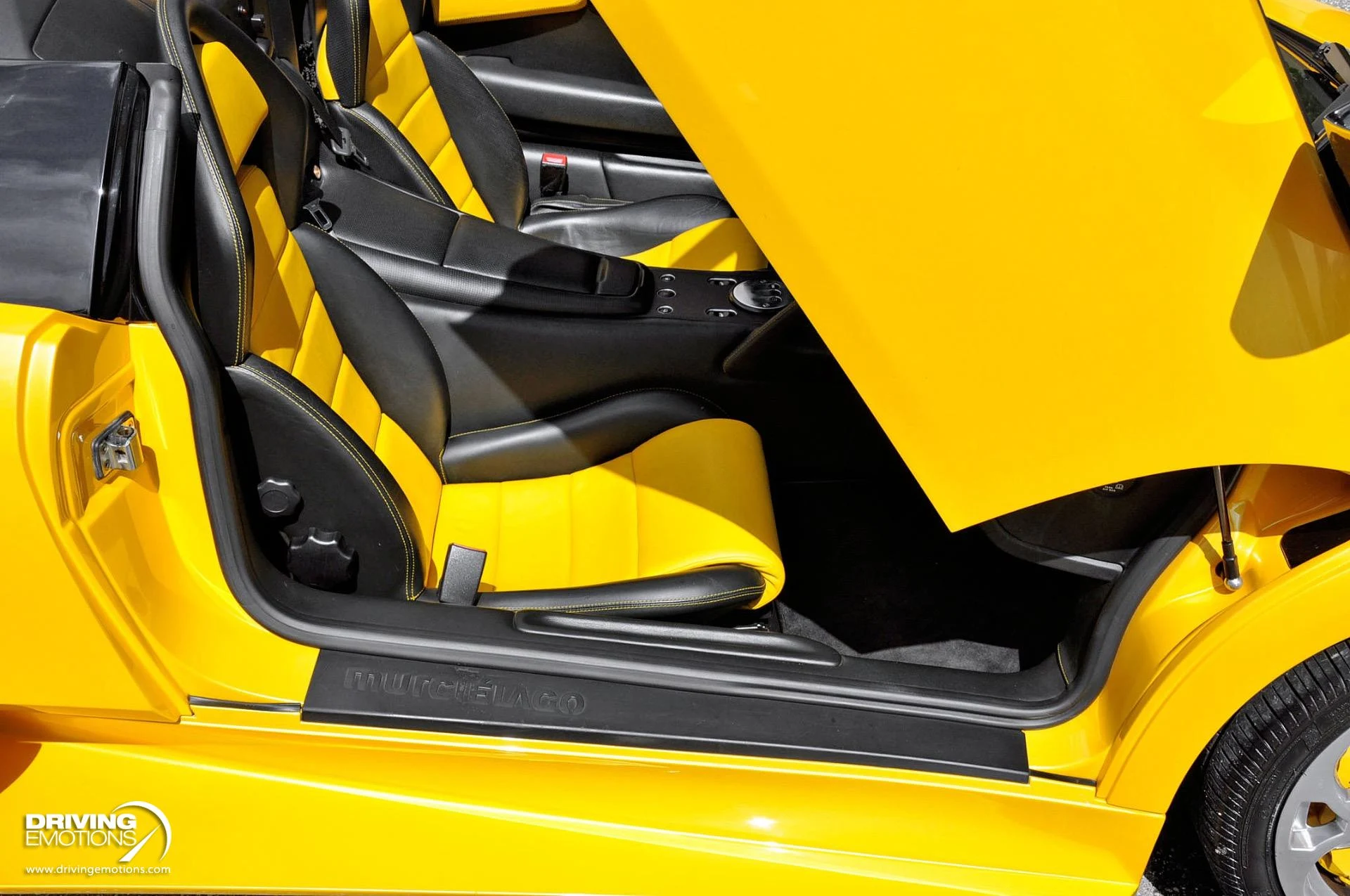 mph019_507746487_862_p20_l_fd5a5fdf4a