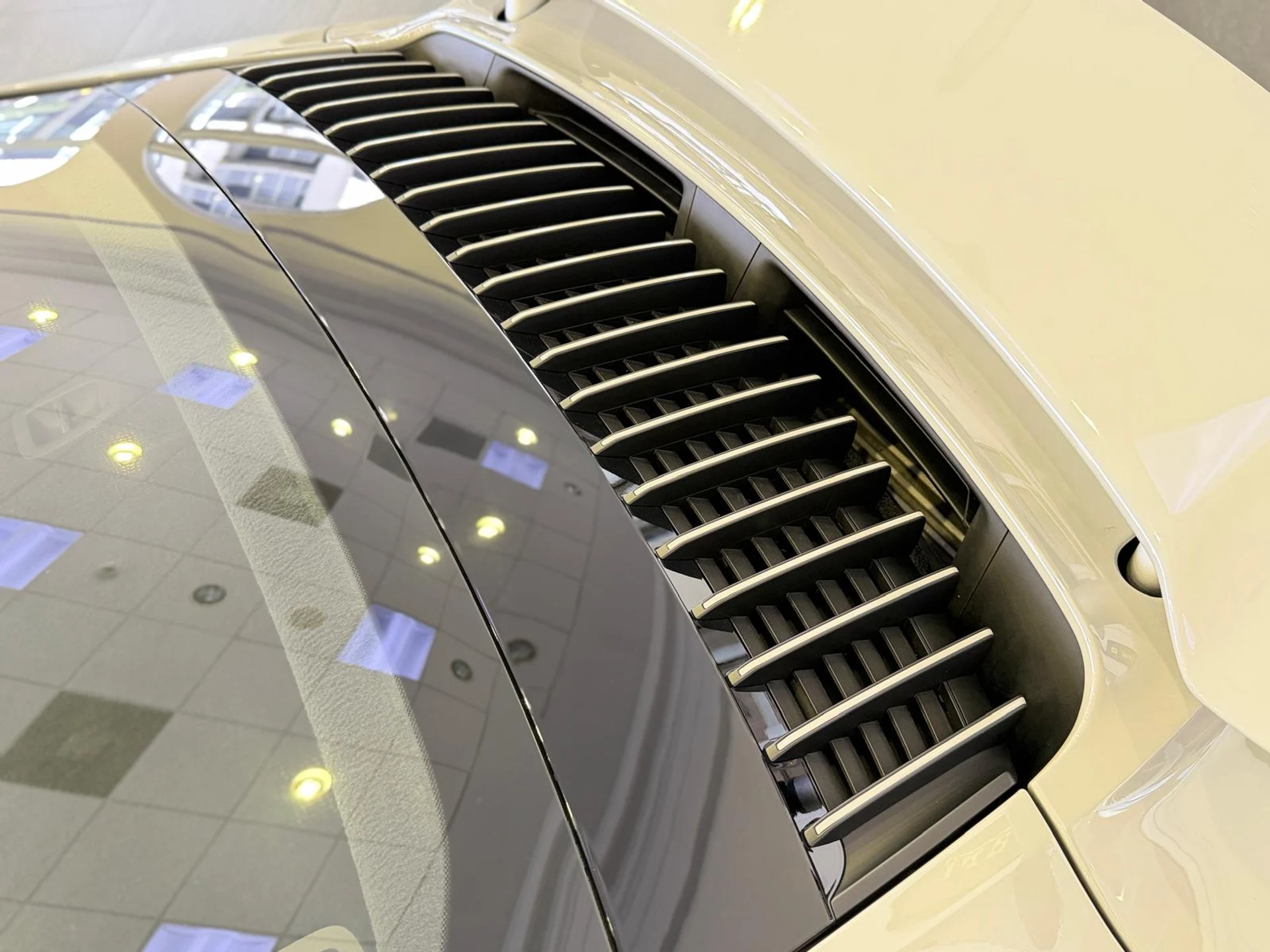 mph019_546235488_Whats_App_Image_2026_04_08_at_5_16_28_PM_48_4ff9681bf5