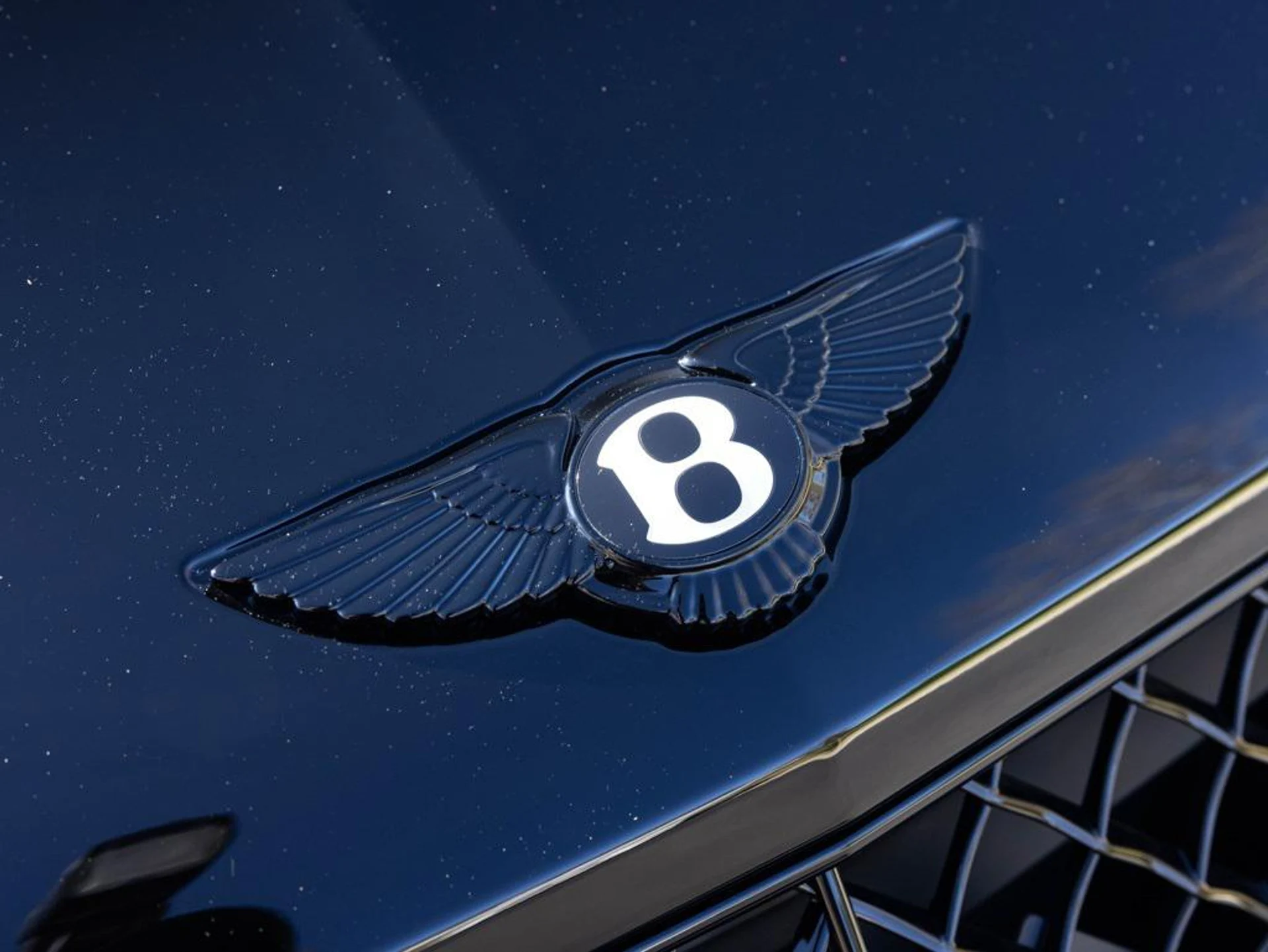 mph019_611305143_480276648_69384757b4572ce7810abc00_cc1c5d415d