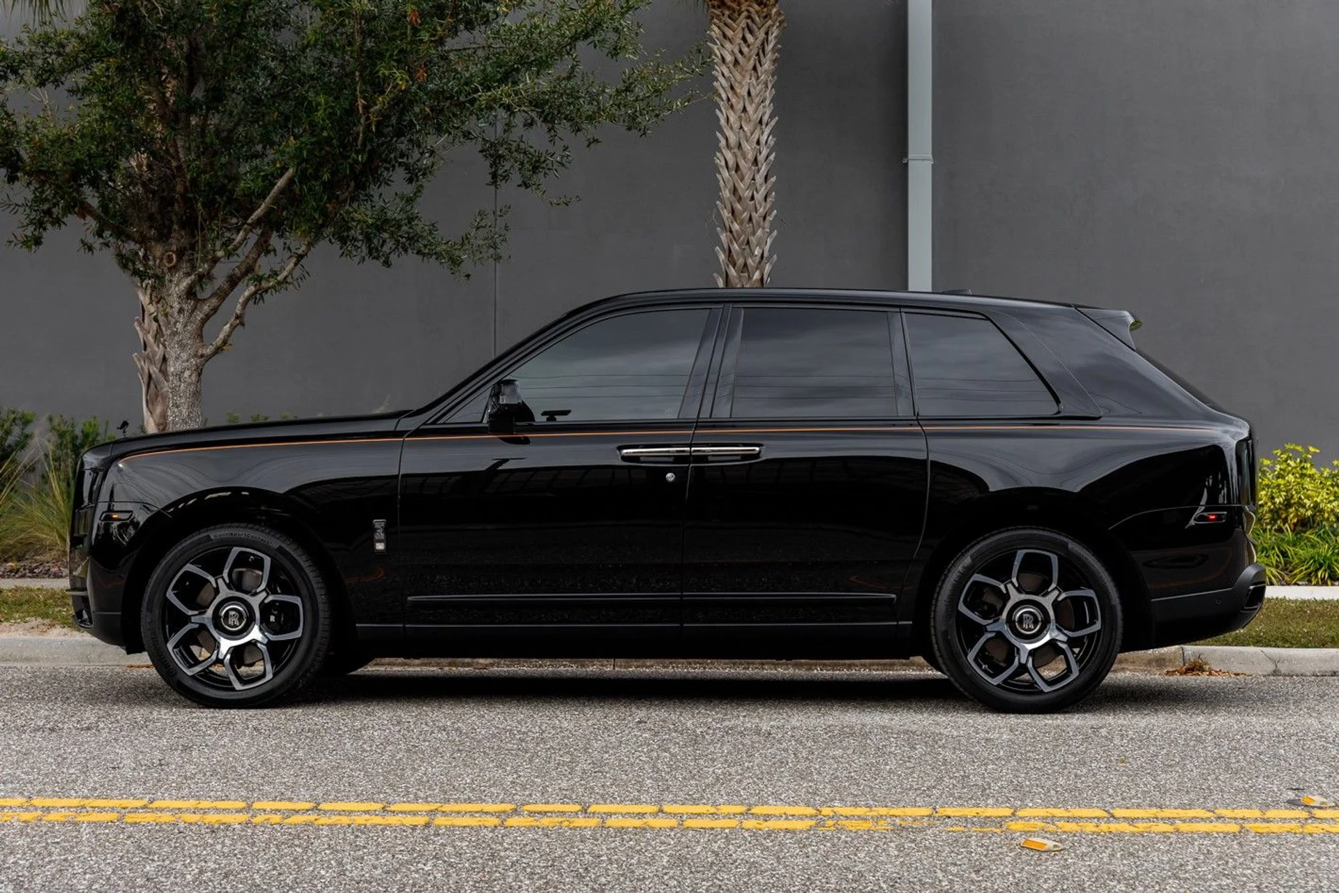 mph019_704119328_649_p20_l_043ae5d312