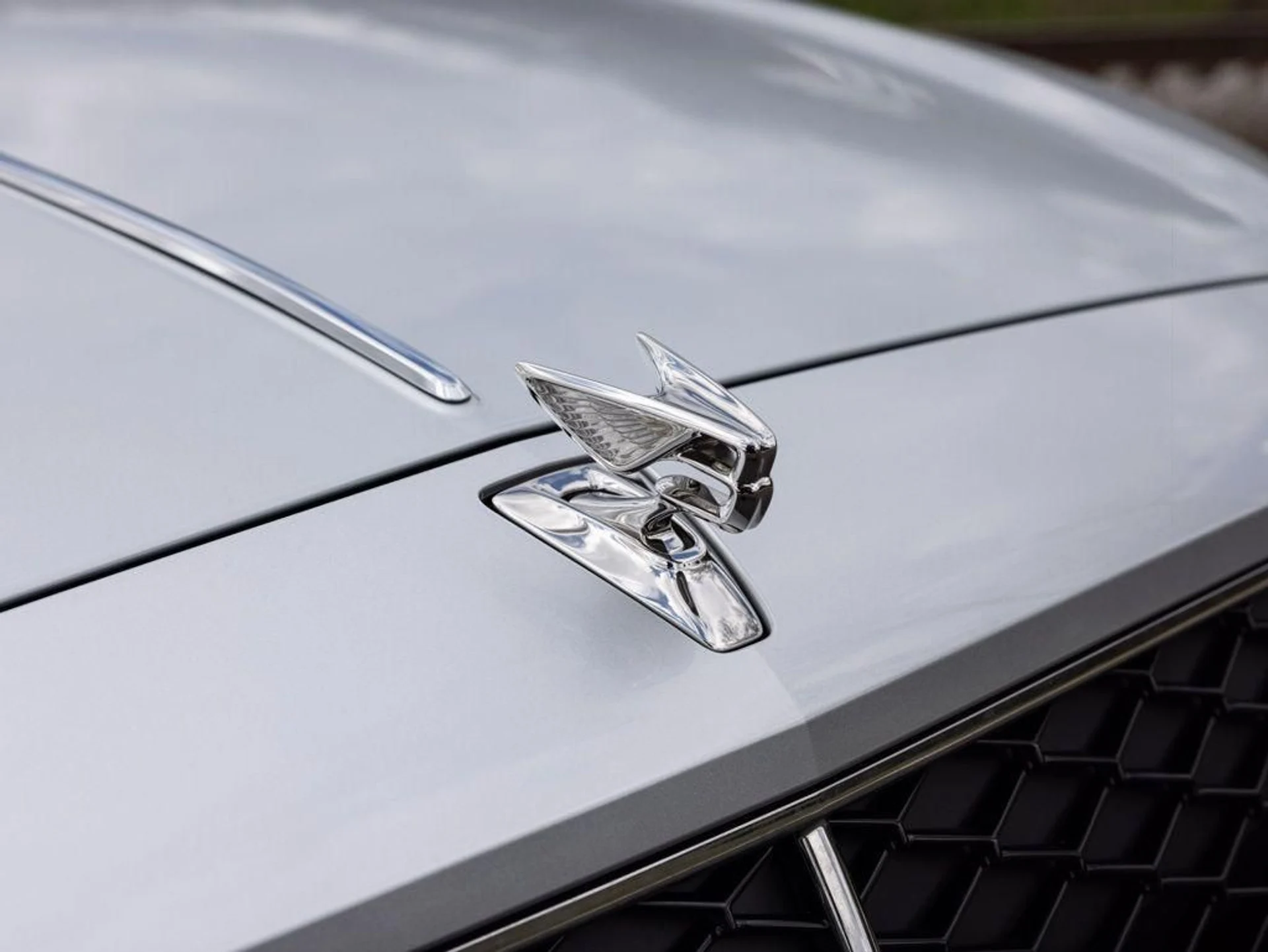 mph019_910553373_500853697_69ac49b942328134f501cf39_e63548328a