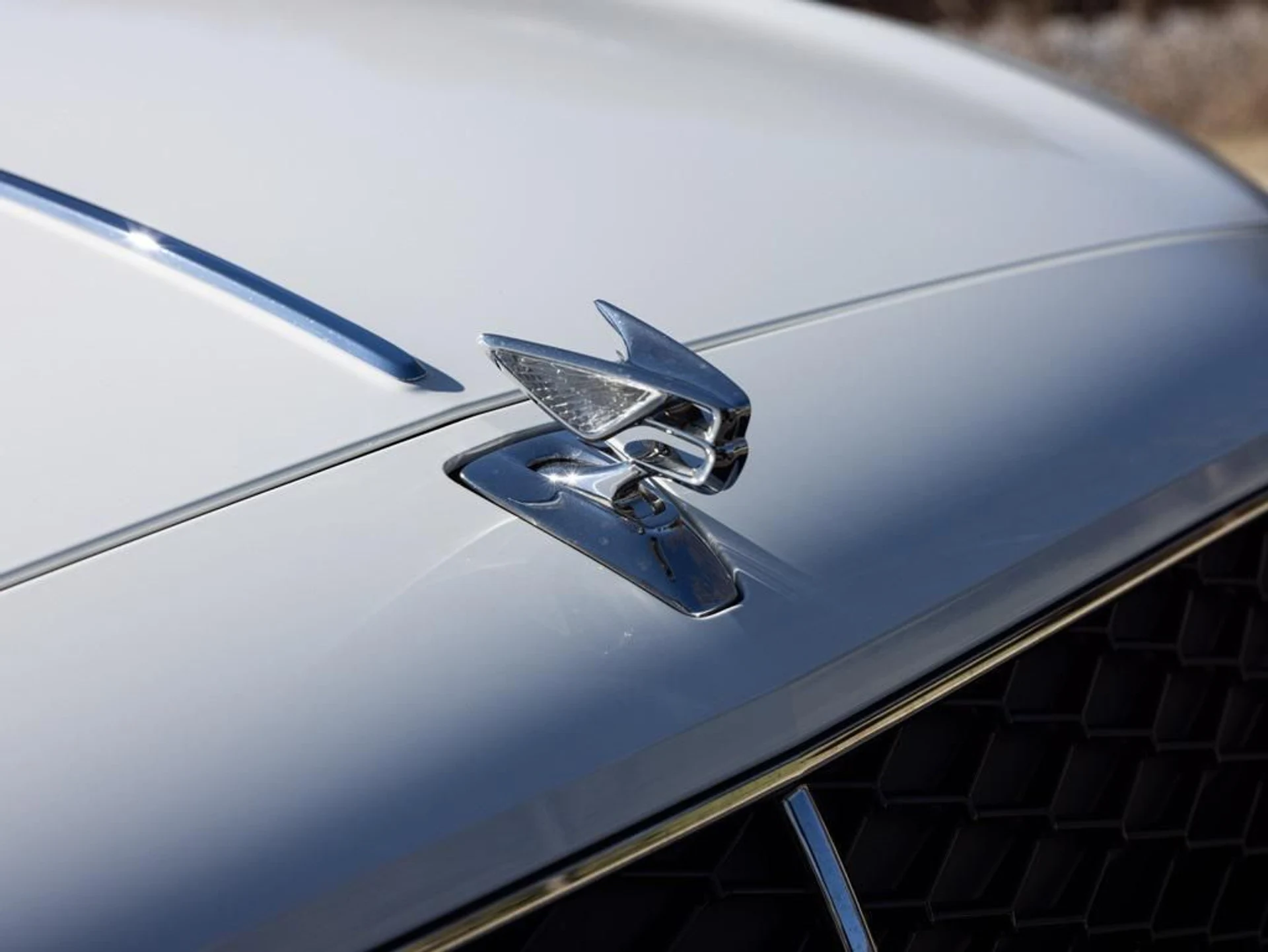 mph019_922218341_489450284_696fa25e247726b502ba2707_5fb73ace82