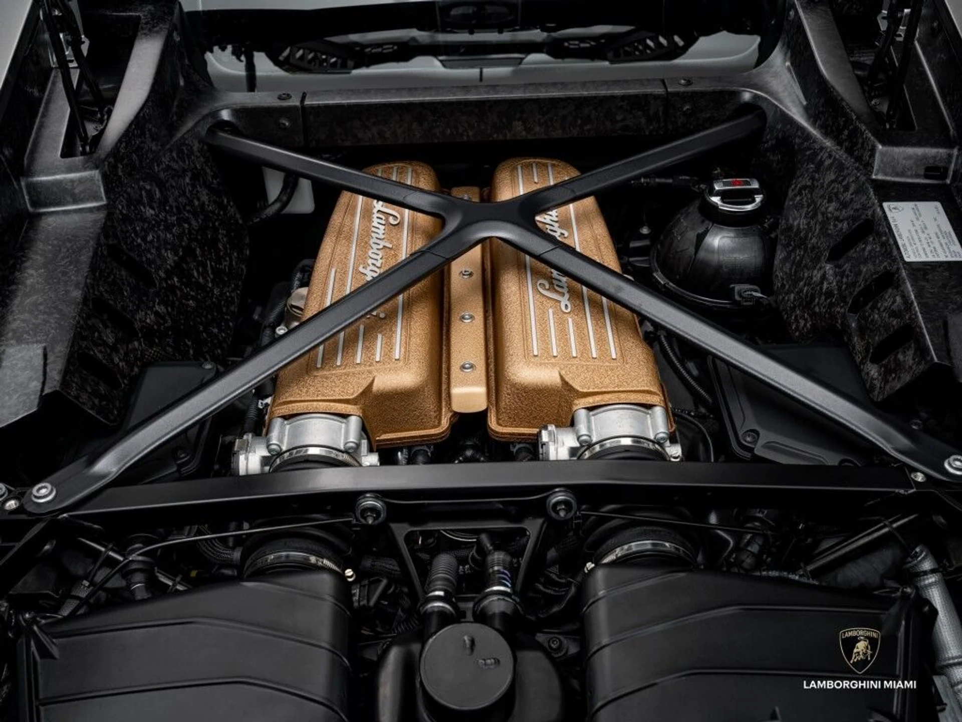 mph019_948568370_5eb3c18b662984c4c8173a8619a04454_98231702d2