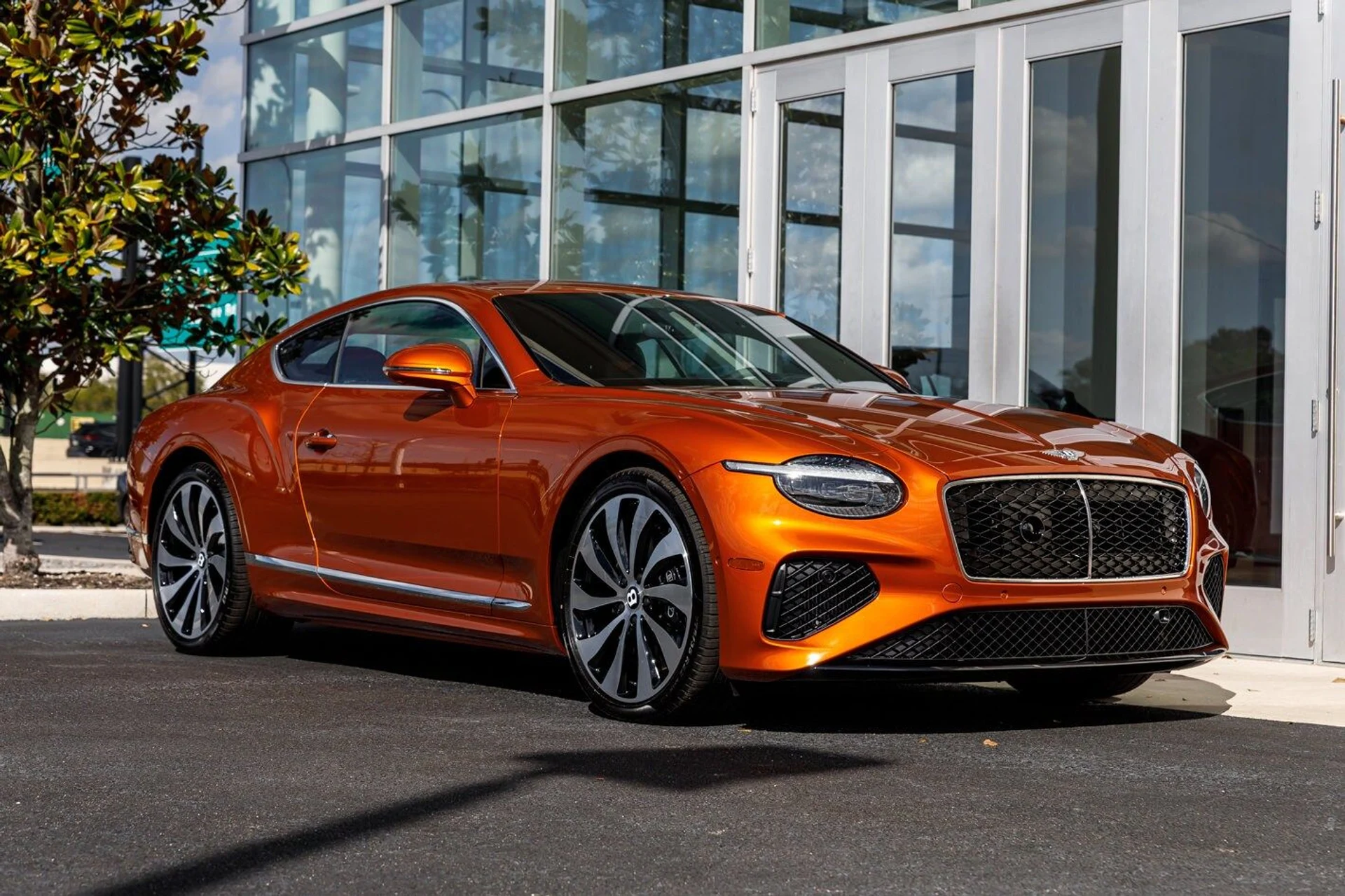 mph019_994127532_5afa83d43d608717226144000a0edba3x_fd5d8e18e5