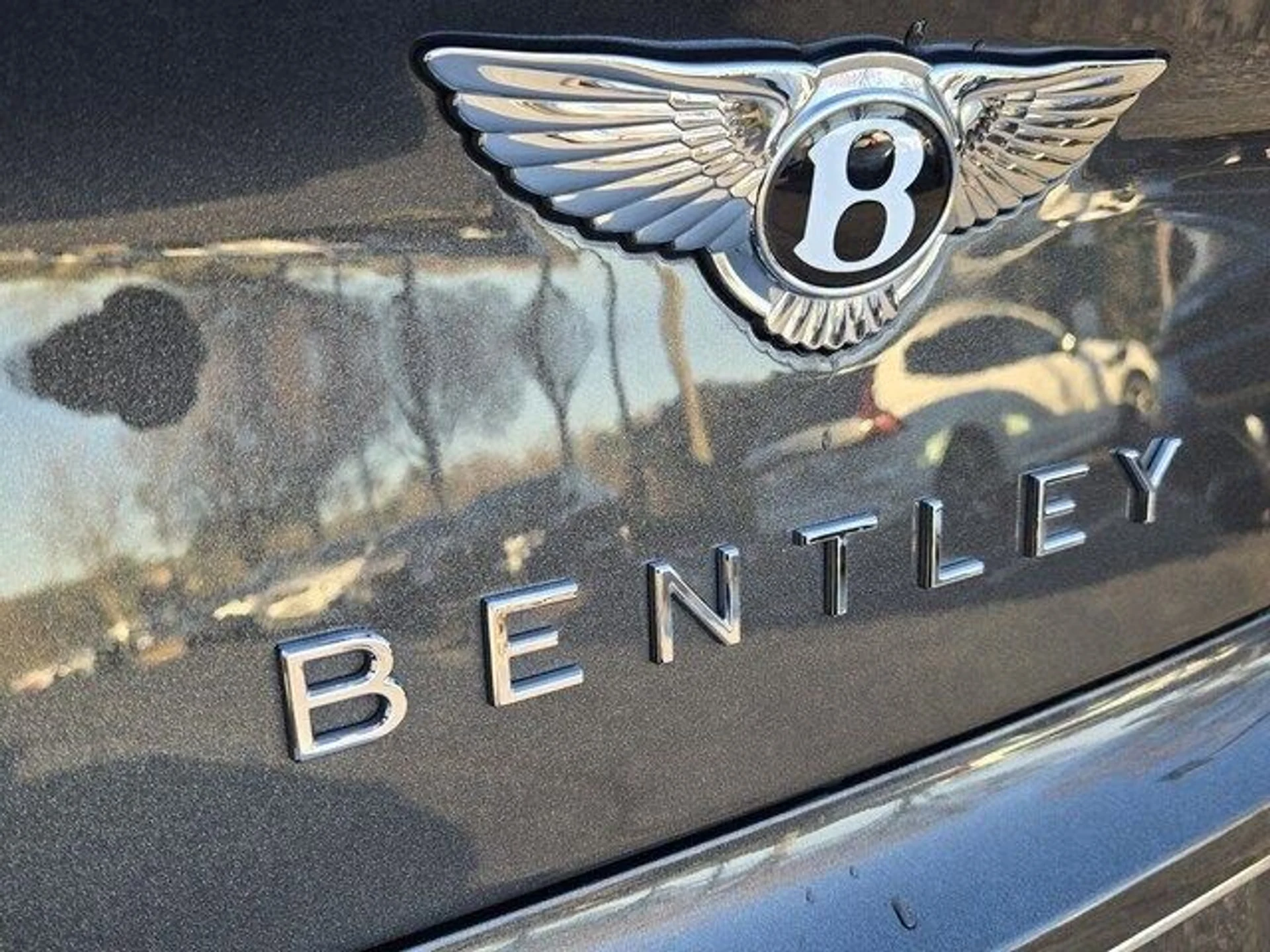 mph020_1078512983_f4c877431bff33bc28e766263040e537x_b0313a5031