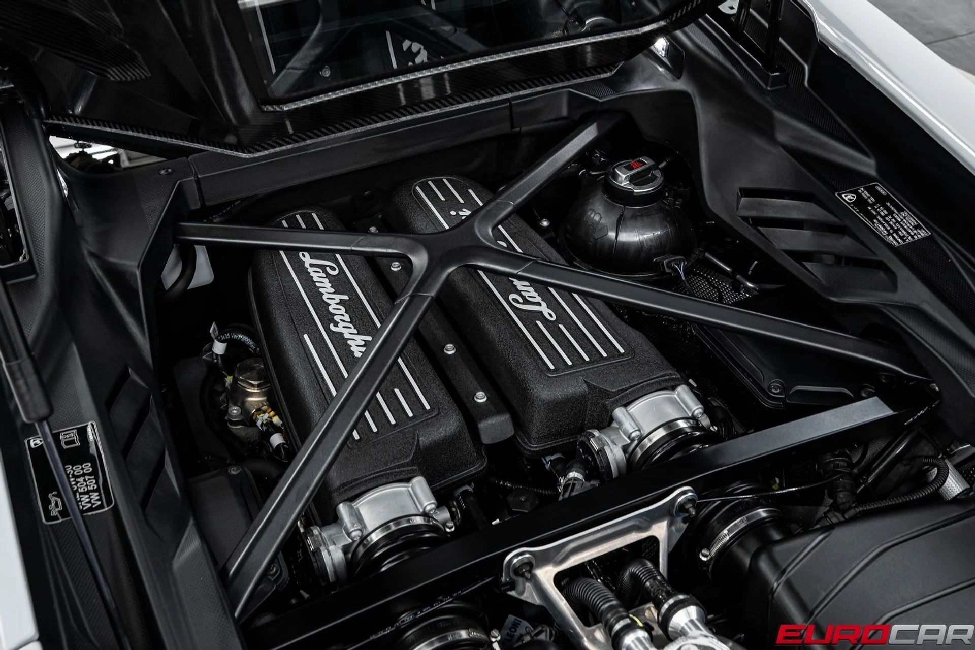 mph020_1097120294_image_21_8b49e99e9b