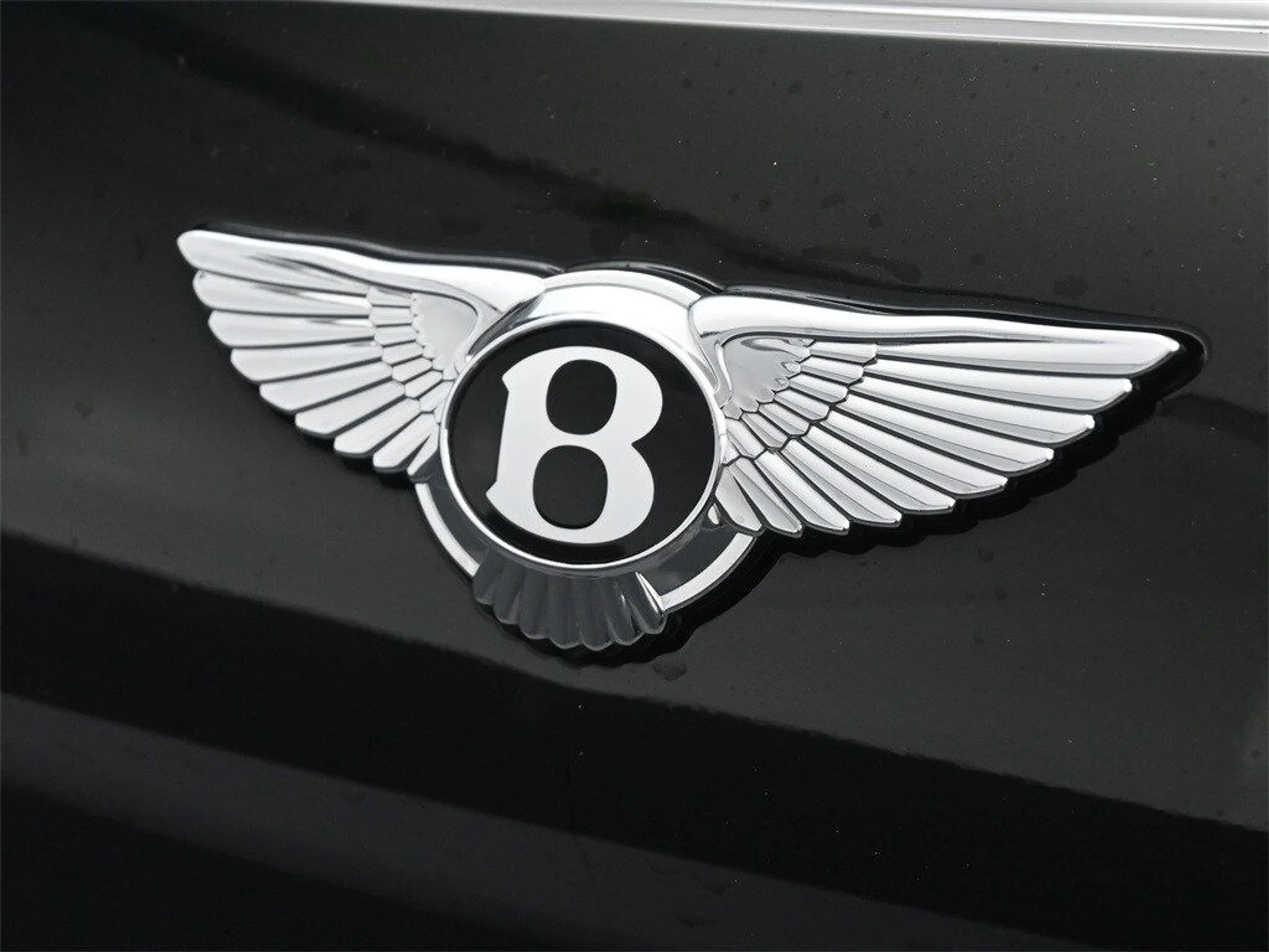 mph020_1174677381_2bb7477bfc229273dbc19f3bdd02584bx_1110036f29