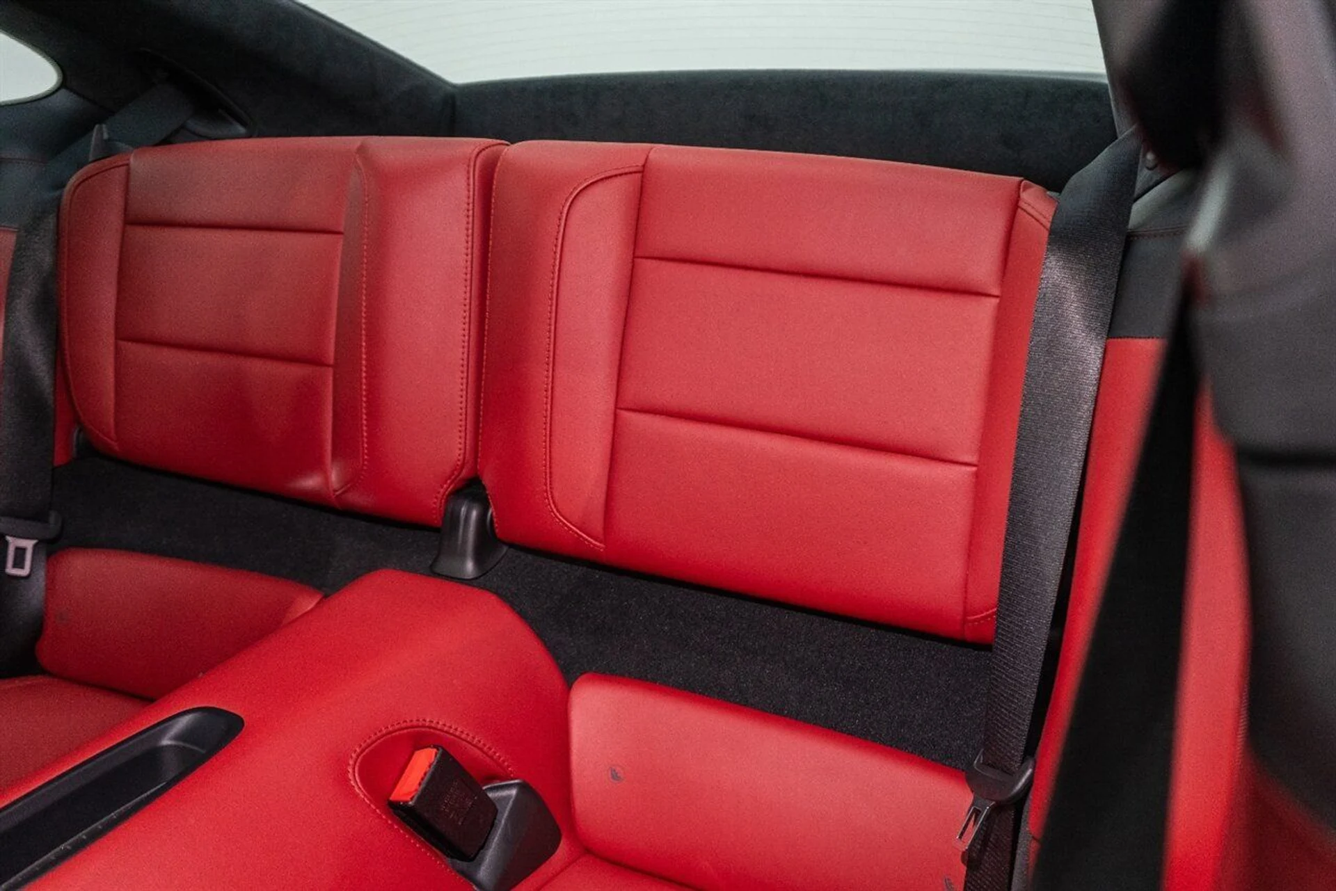 mph020_1197064495_dc5ef293b1_1280_ff8ac84c95