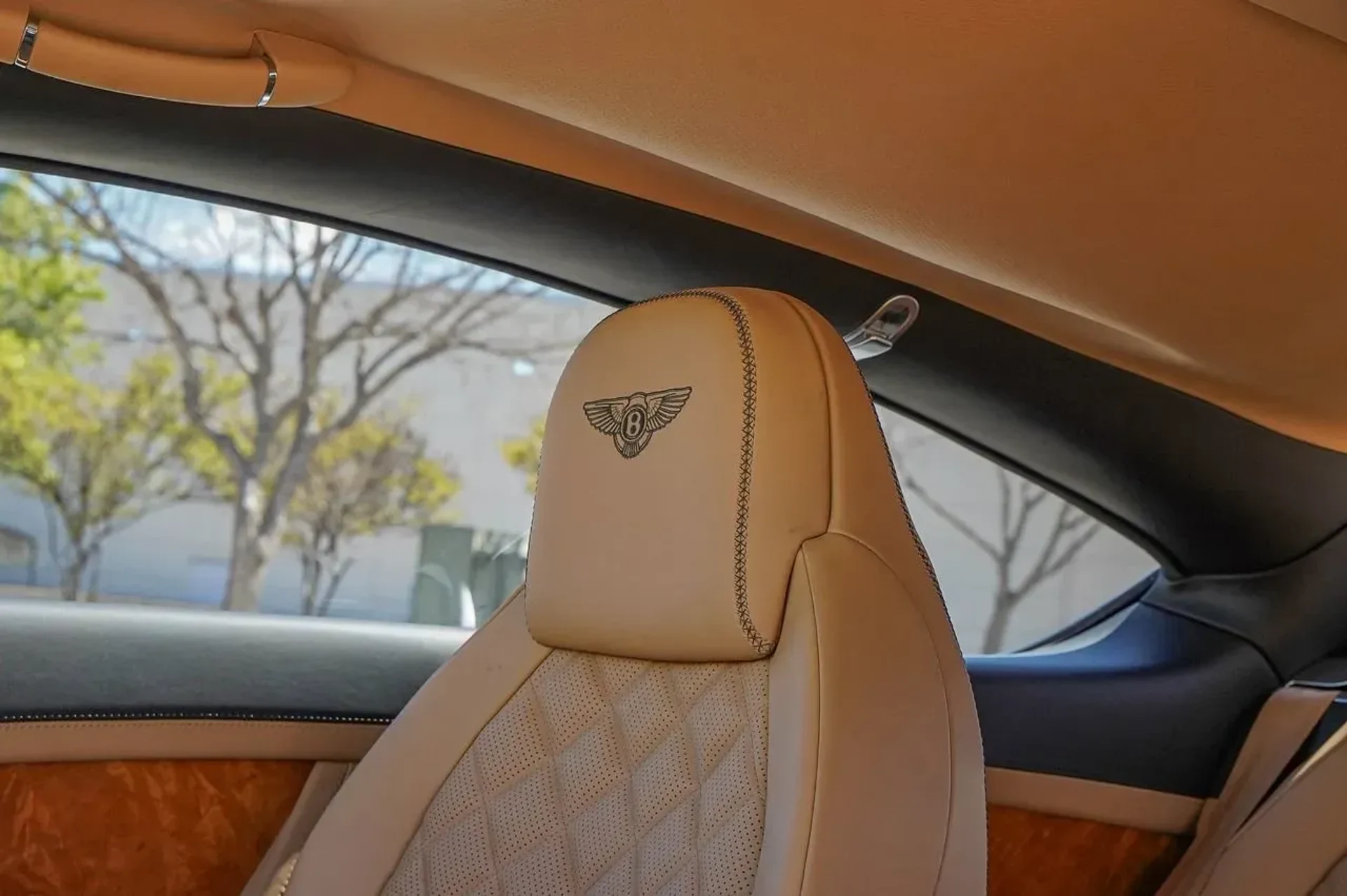 mph020_1459161452_21abdc57f3fb4edd97bcb621ccccc9b3_6b692a4438