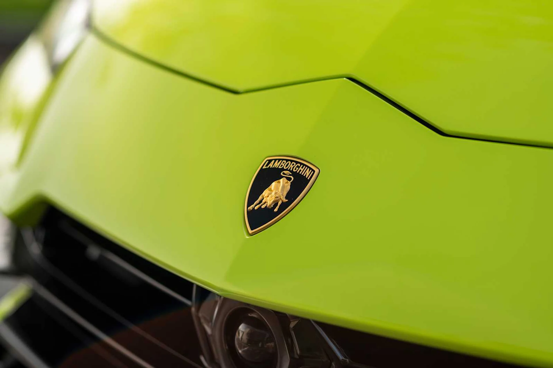 mph020_1513346273_fabcc8e4a5ce1eaea725f04a4cecc99ex_59f561c4e1