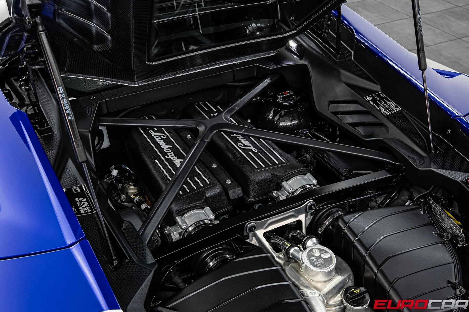 mph020_1541190987_9b51732f_b2fe_4fa6_9cd7_18b20ab478f7_531dead1e2