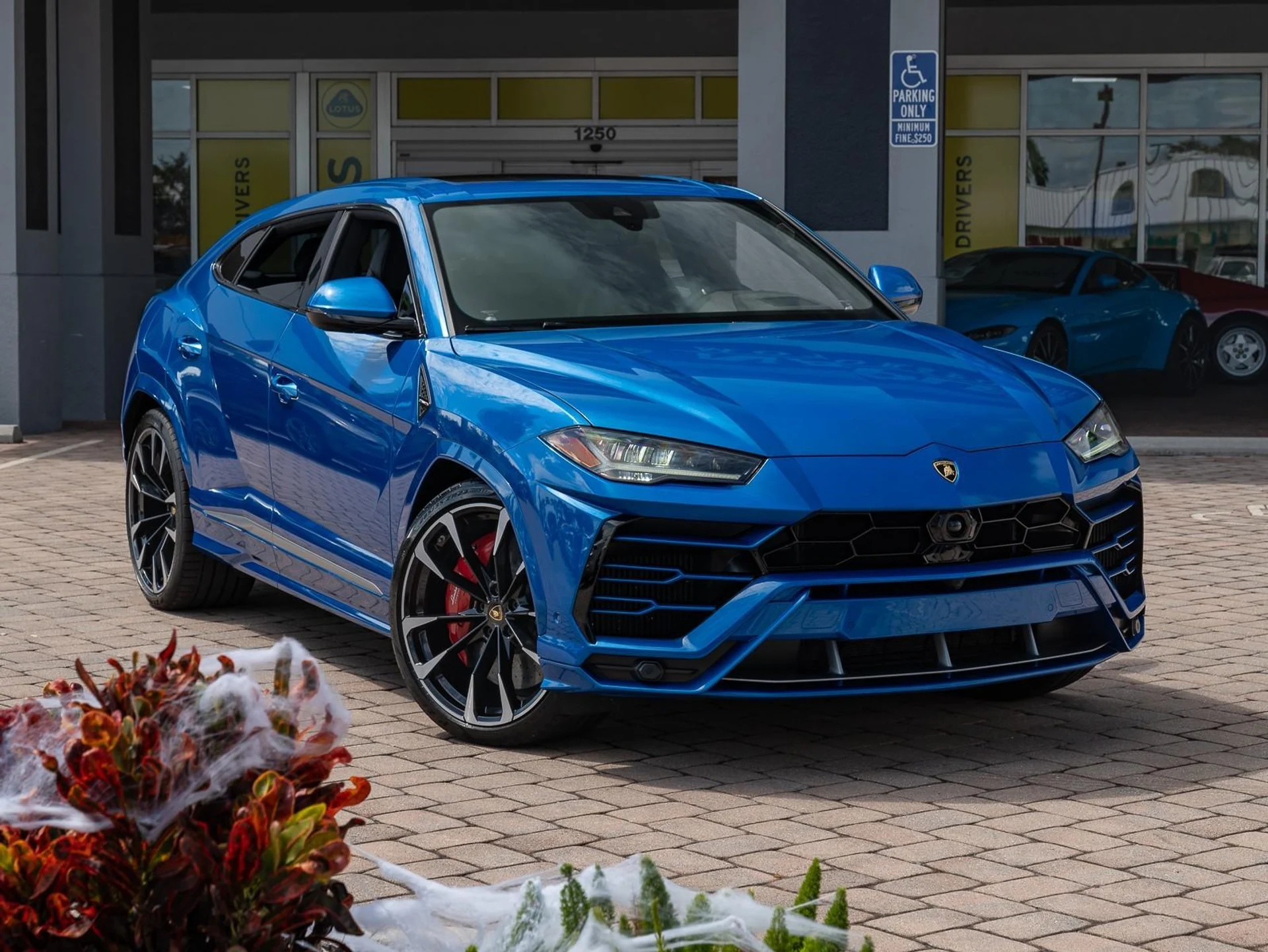 mph020_1552936418_Used_2020_Lamborghini_Urus_1753203938_ebecc1de7c