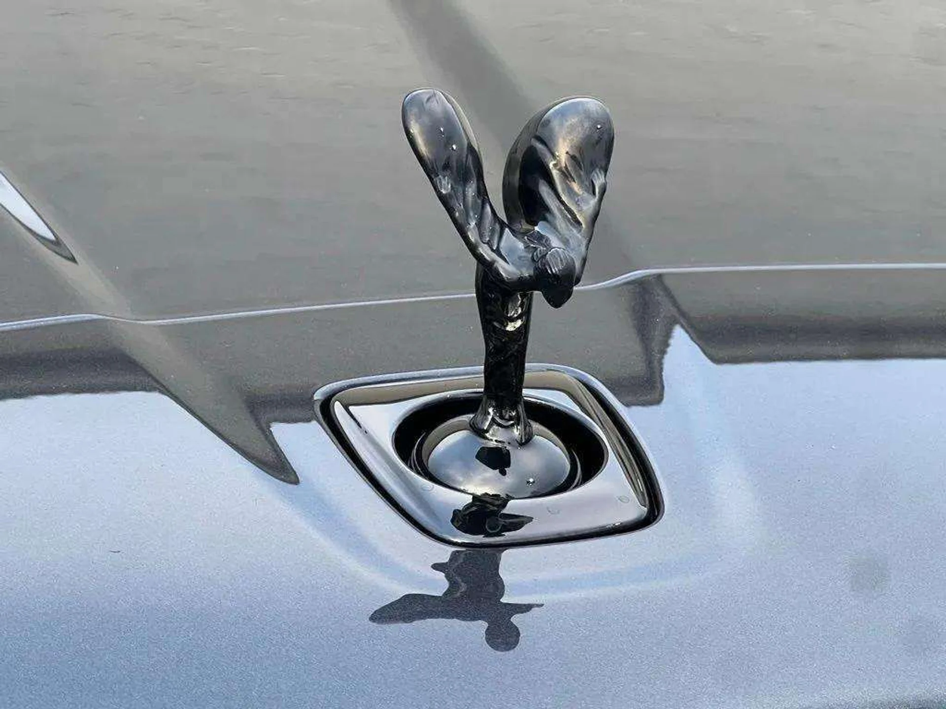 mph020_1642881904_z5lvisq6e8soi7s46sq6r2ogedrf_755445c9e9