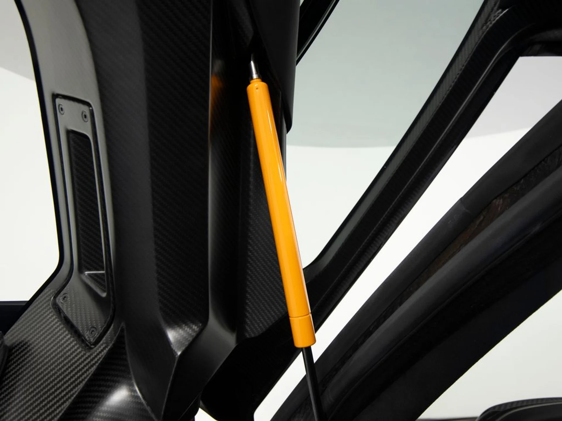 mph020_1732362260_d5c4950c8673ad480c7b30badebe4ce9x_756c730269